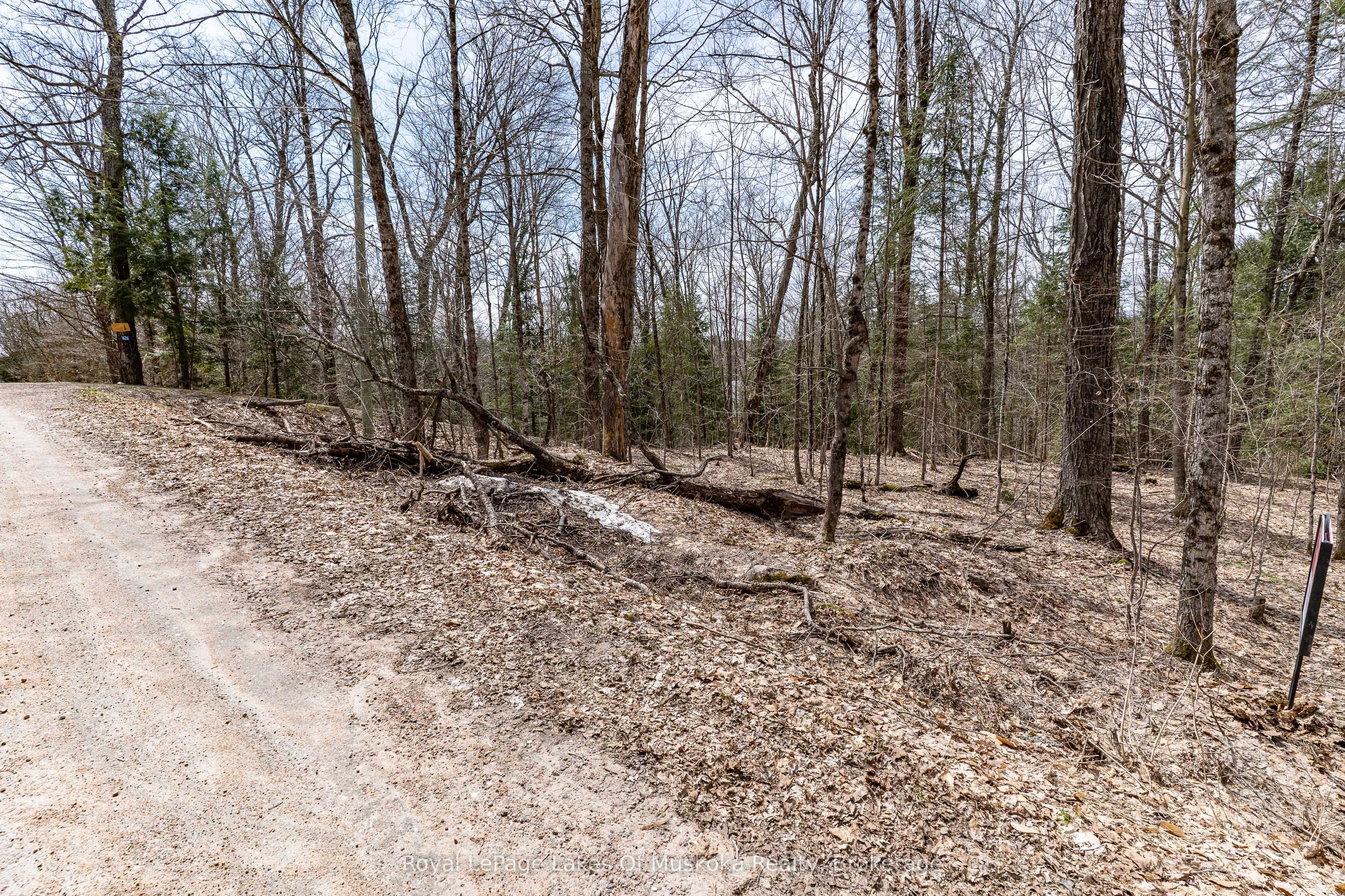 0 Bird Lake Road Property Photo 28
