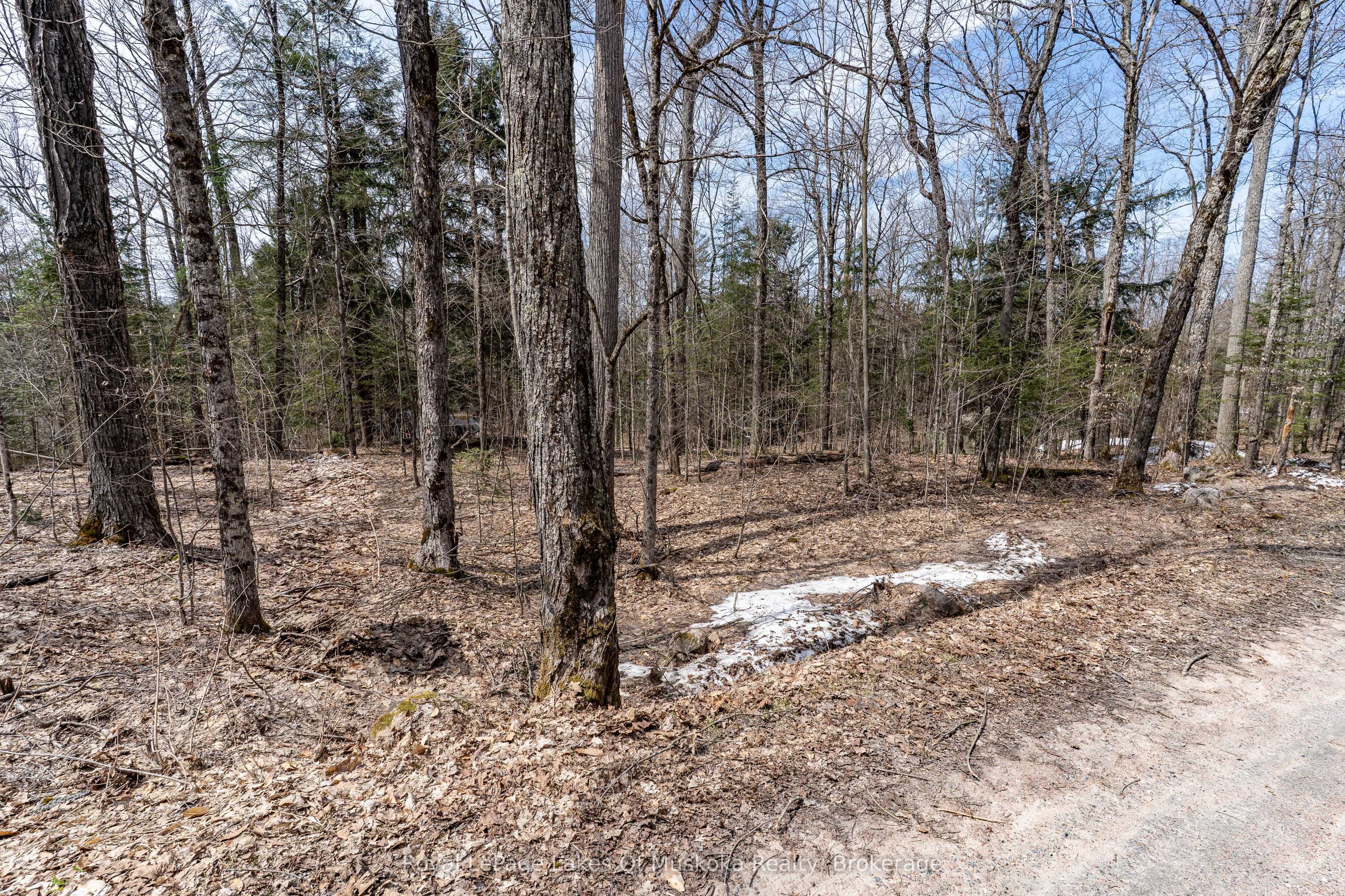 0 Bird Lake Road Property Photo 29