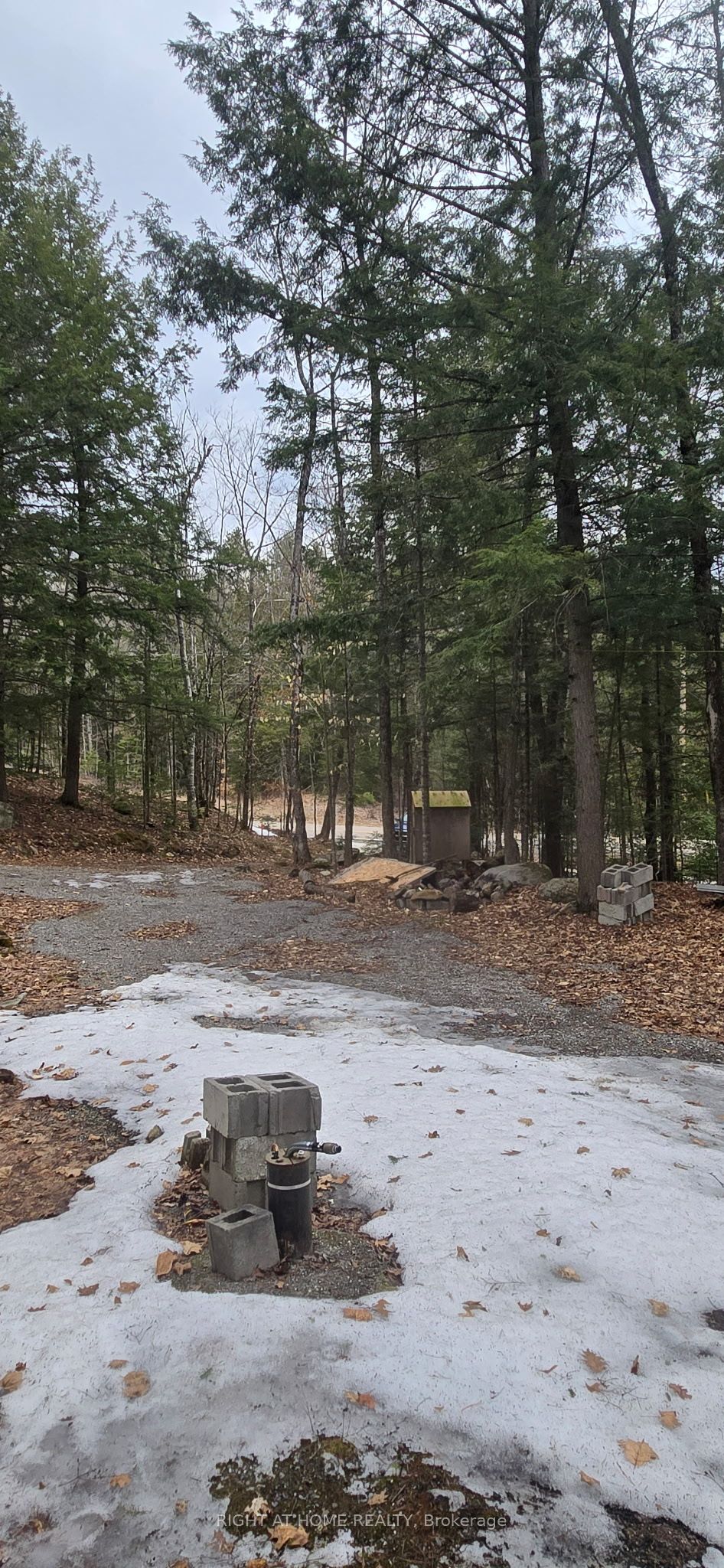 1061 Centennial Lake Rd Property Photo 3