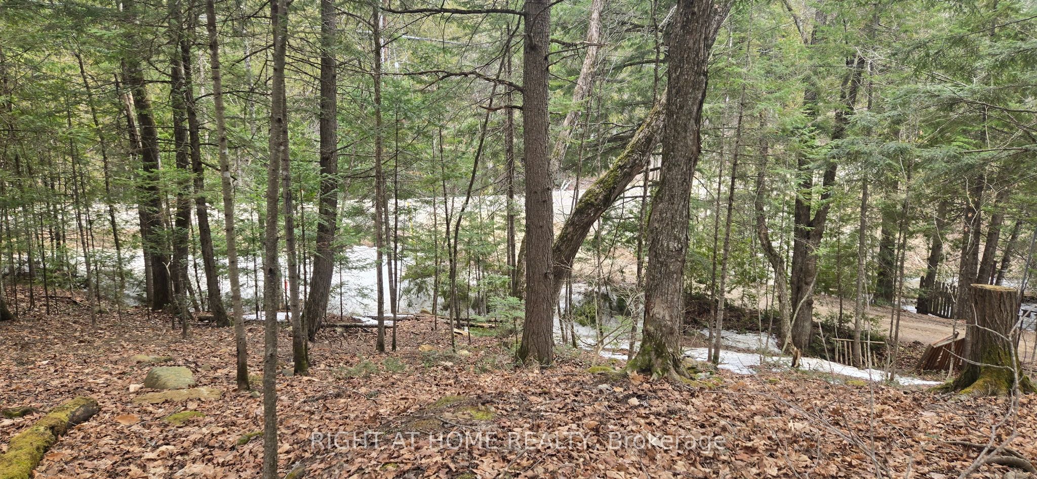 1061 Centennial Lake Rd Property Photo 5