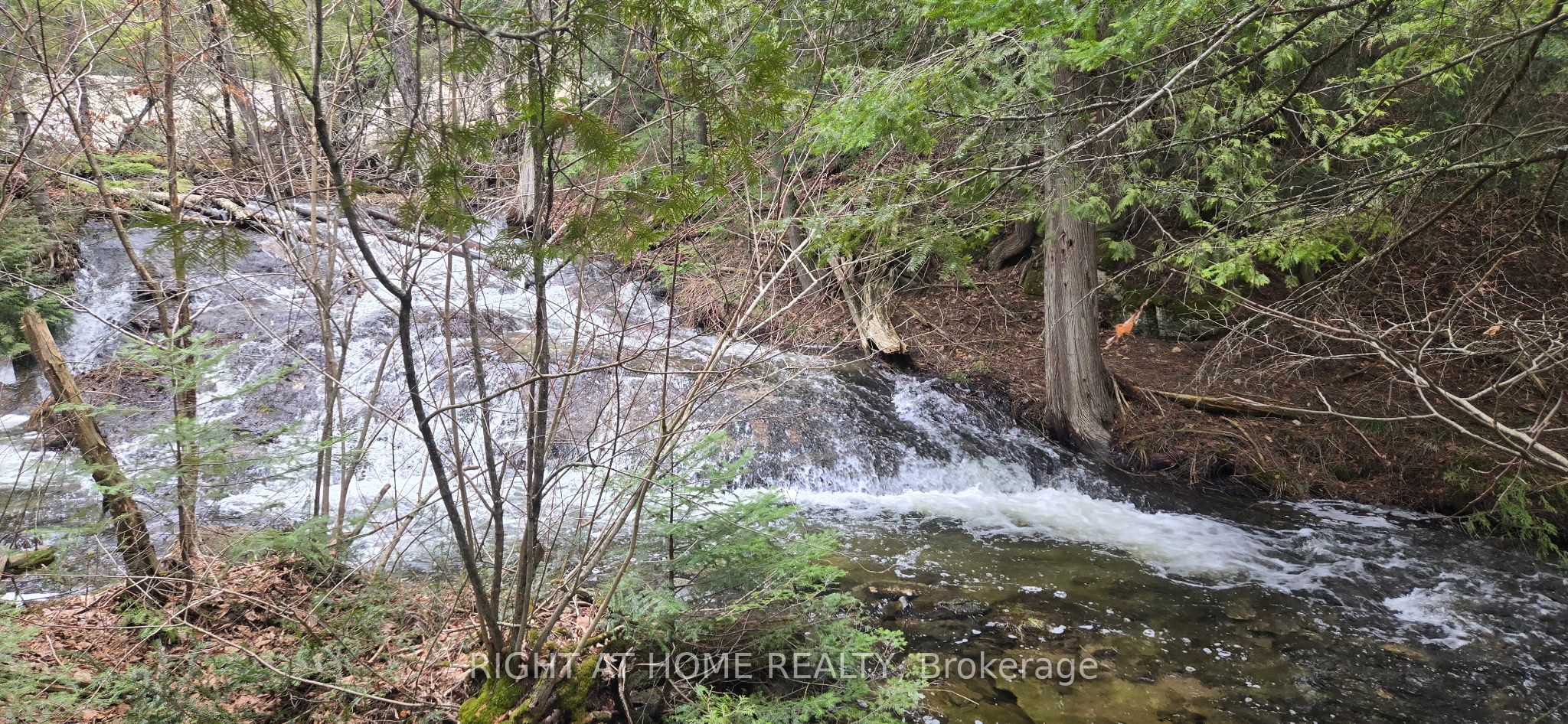 1061 Centennial Lake Rd Property Photo 6