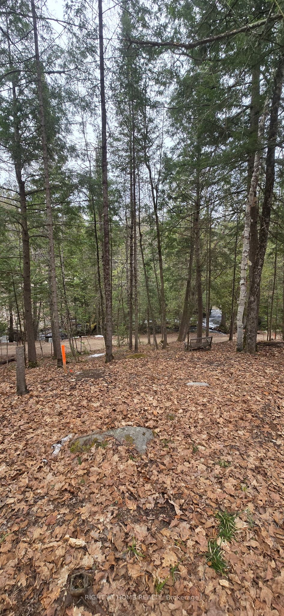 1061 Centennial Lake Rd Property Photo 7