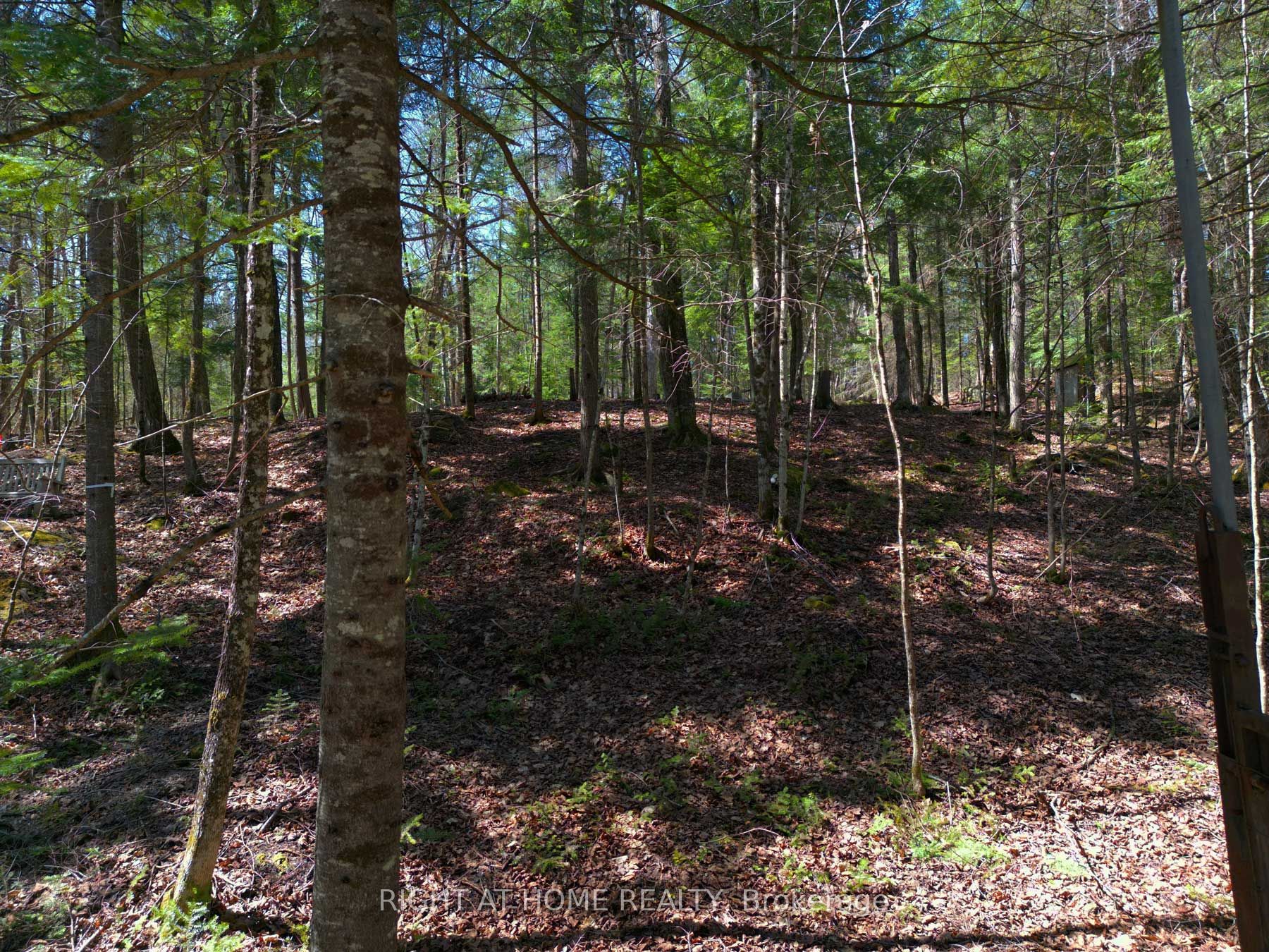 1061 Centennial Lake Rd Property Photo 13