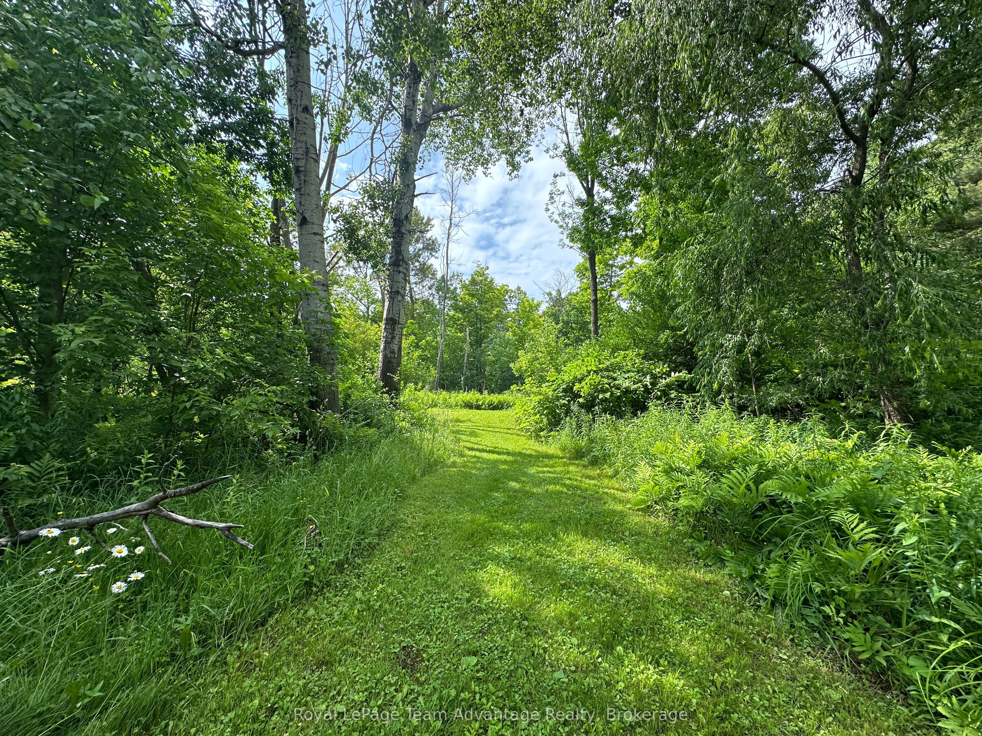 66 William Street Property Photo 3