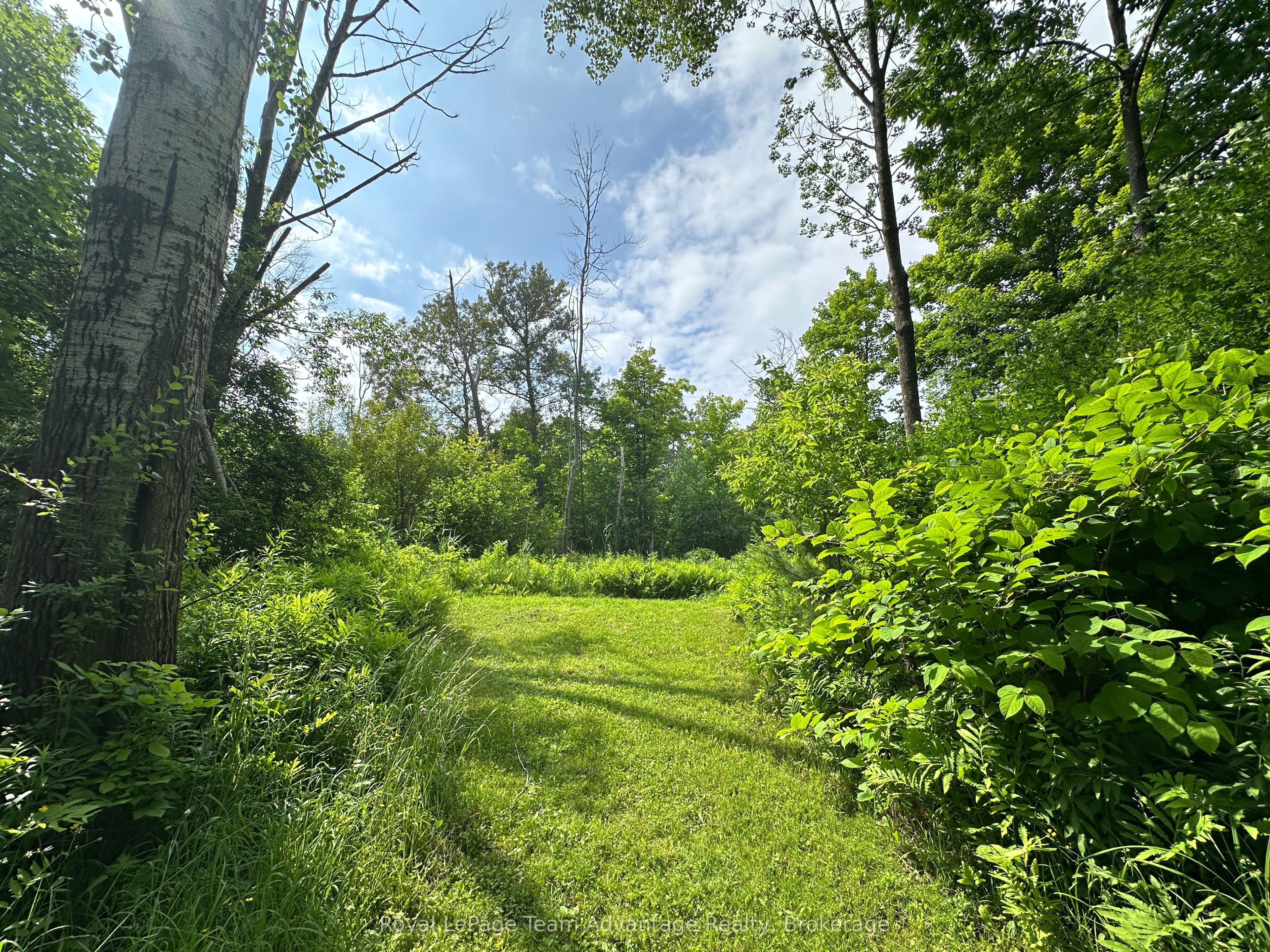 66 William Street Property Photo 5