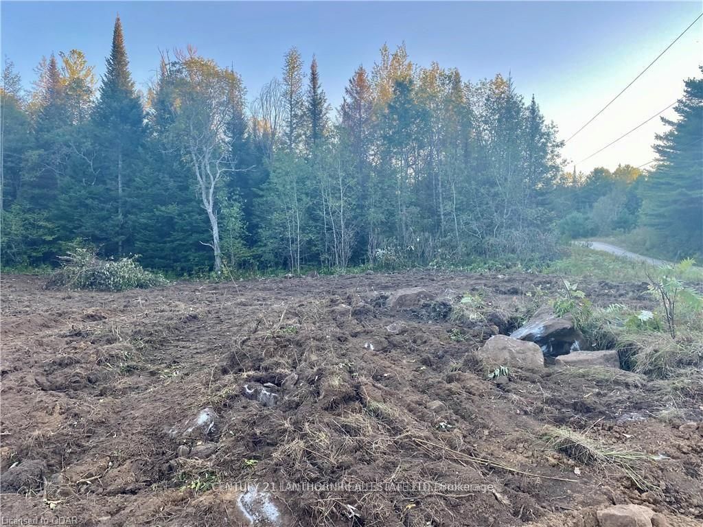 0 Stoney Settlement Road Property Photo