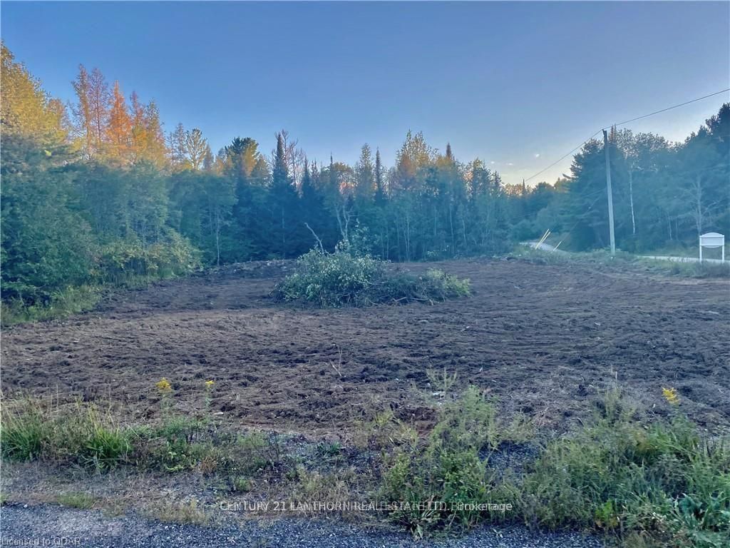 0 Stoney Settlement Road Property Photo 3