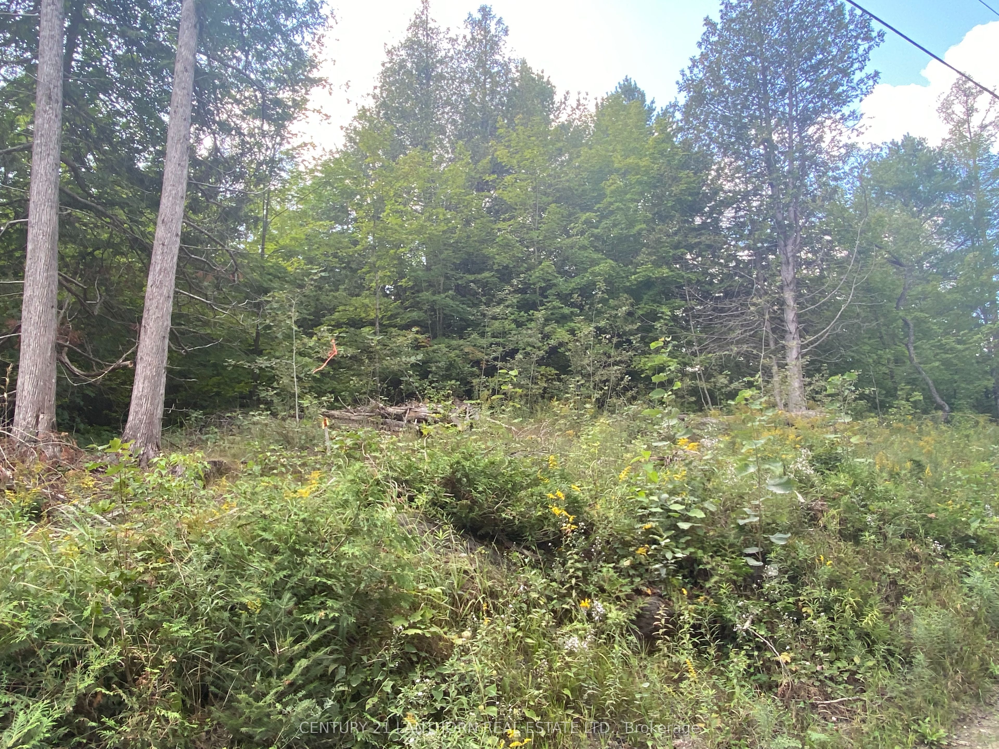0 Stoney Settlement Road Property Photo 7