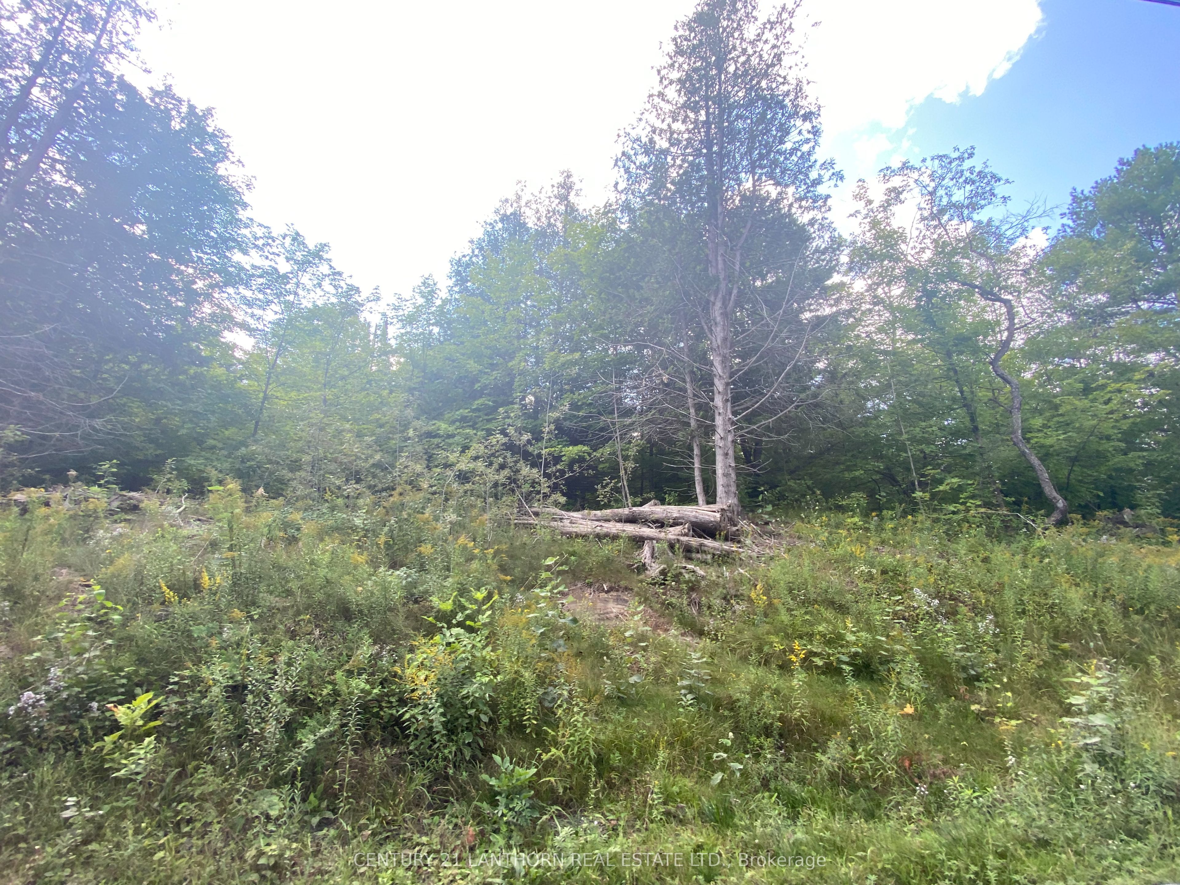 0 Stoney Settlement Road Property Photo 8