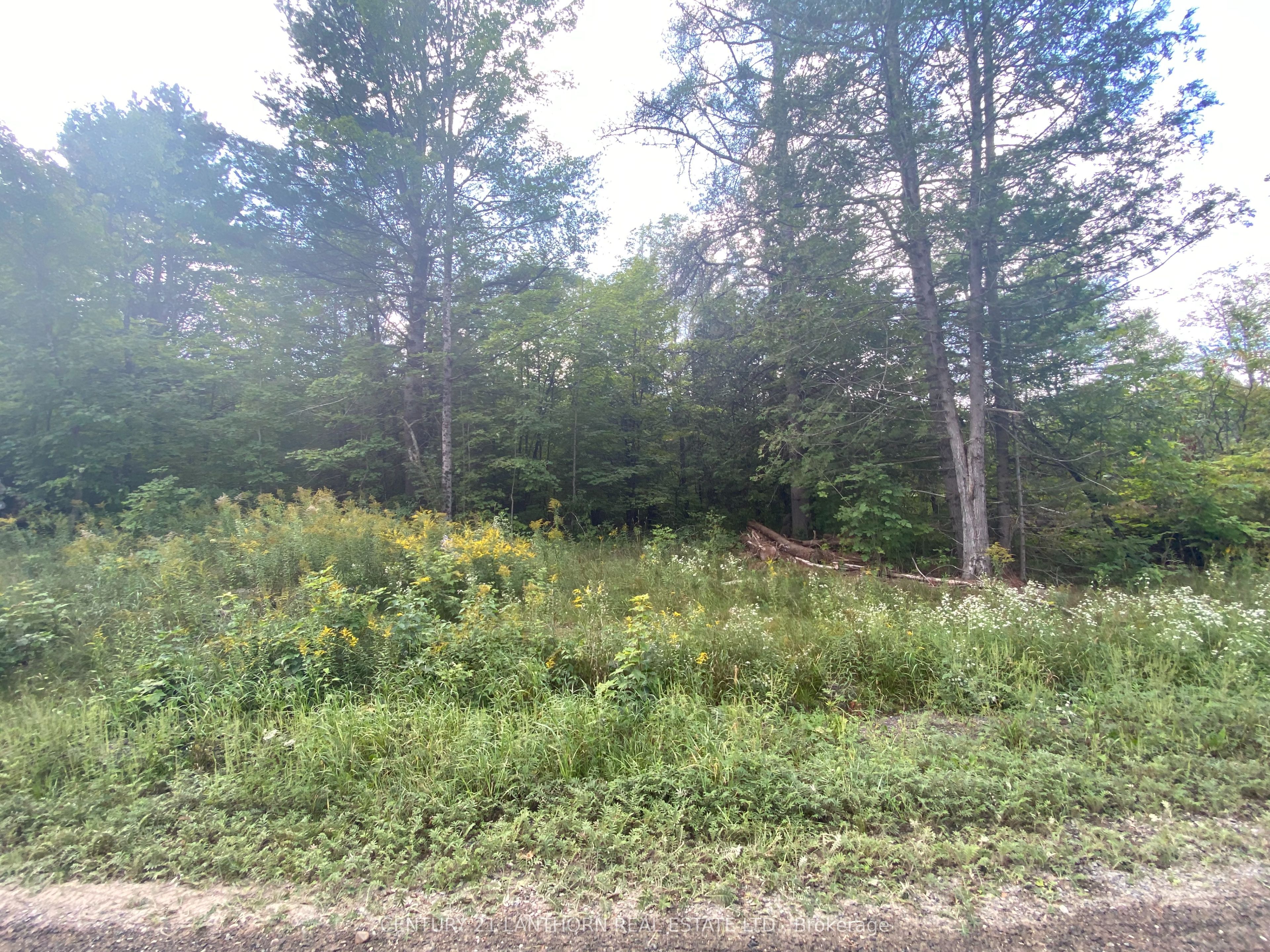 0 Stoney Settlement Road Property Photo 9
