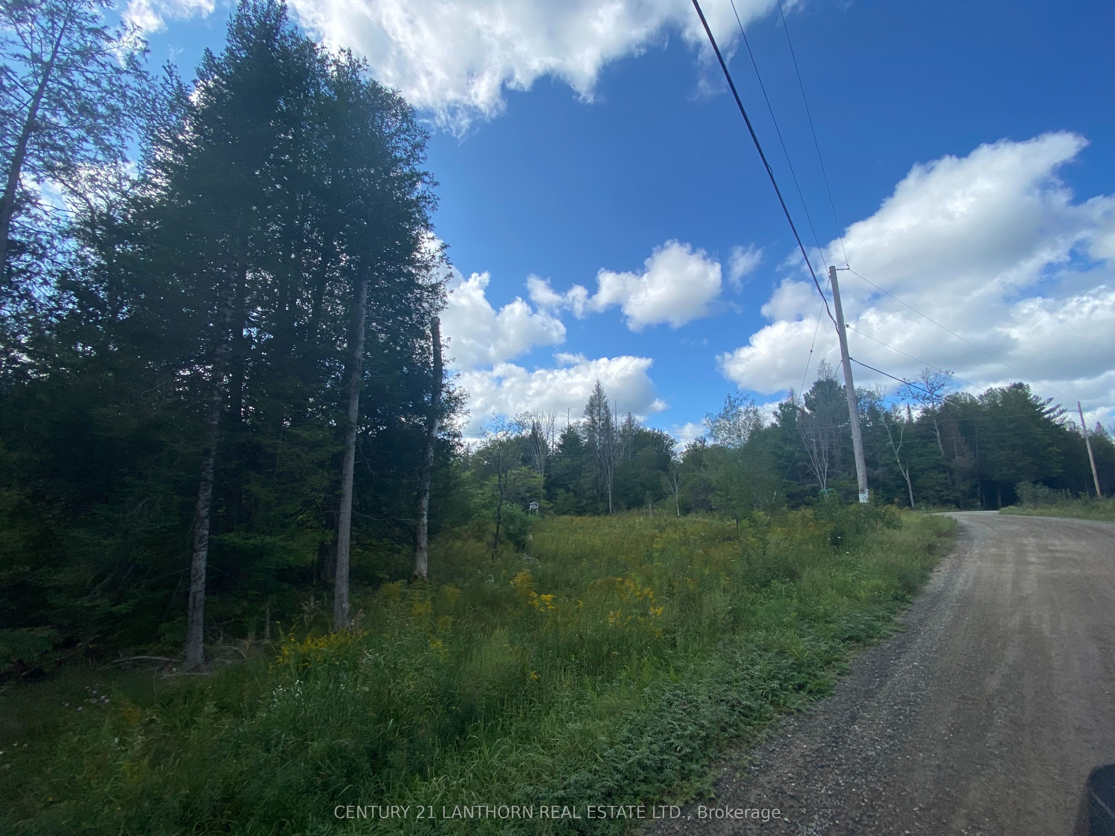 0 Stoney Settlement Road Property Photo 10