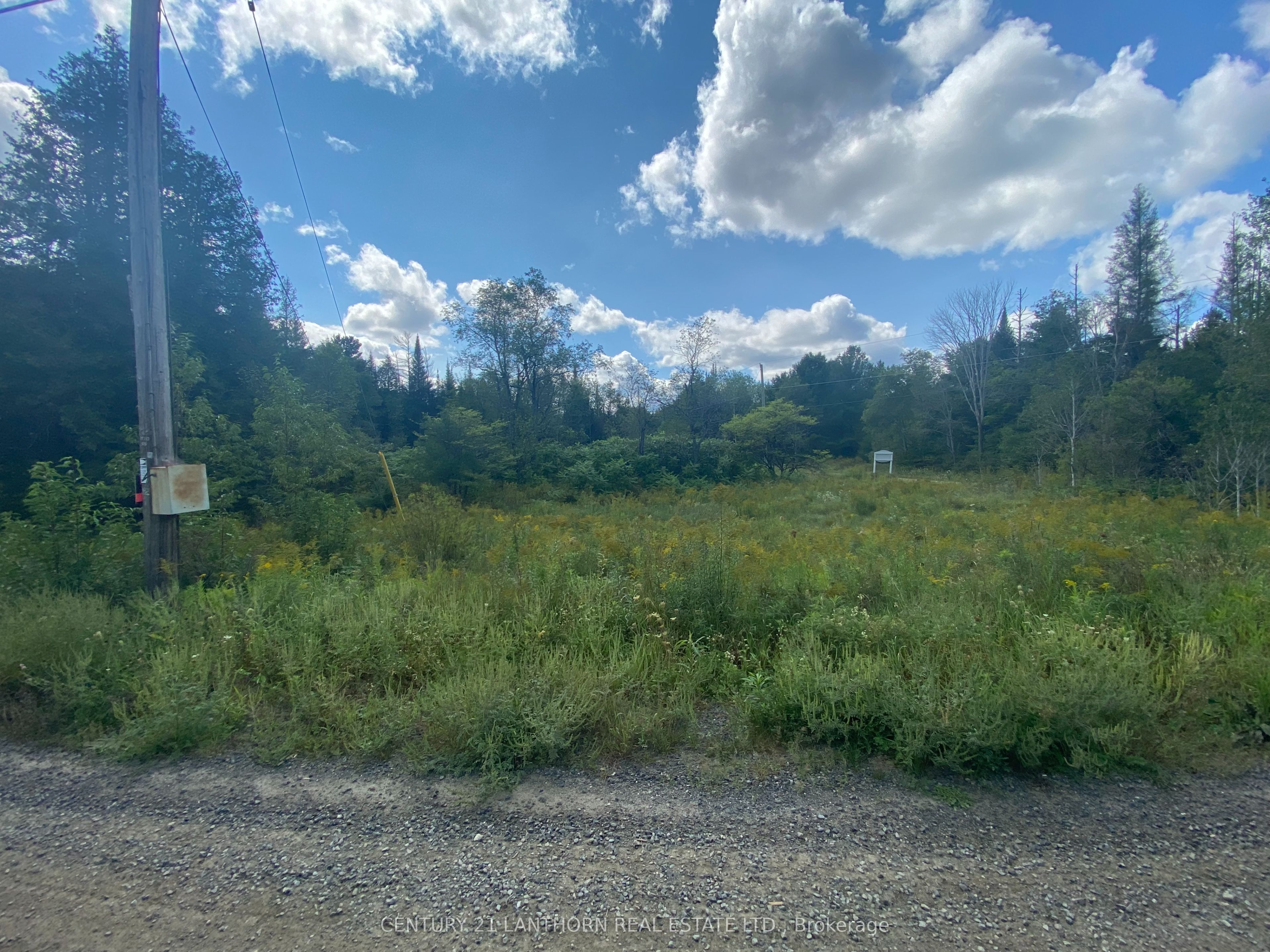 0 Stoney Settlement Road Property Photo 11
