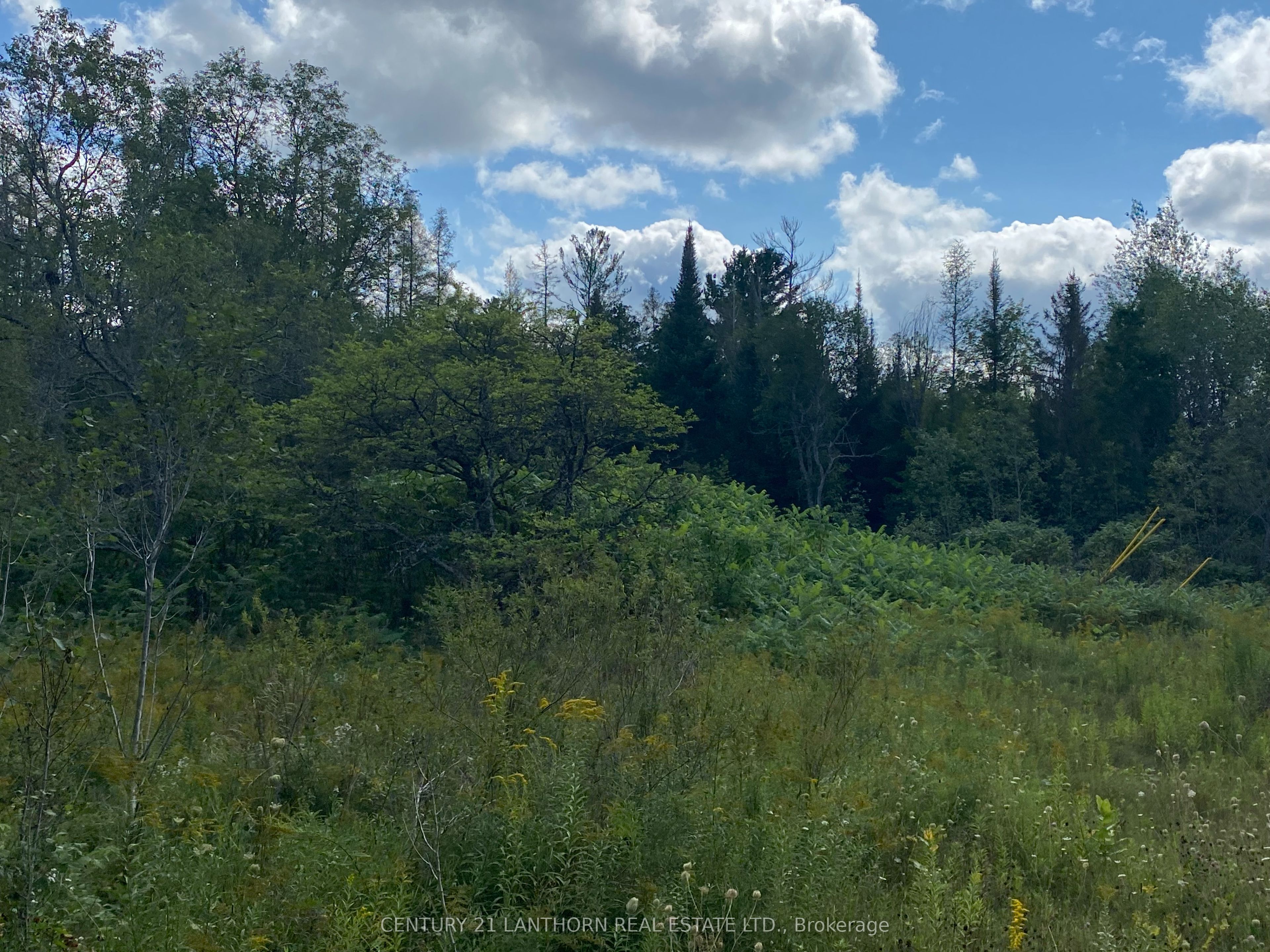 0 Stoney Settlement Road Property Photo 14
