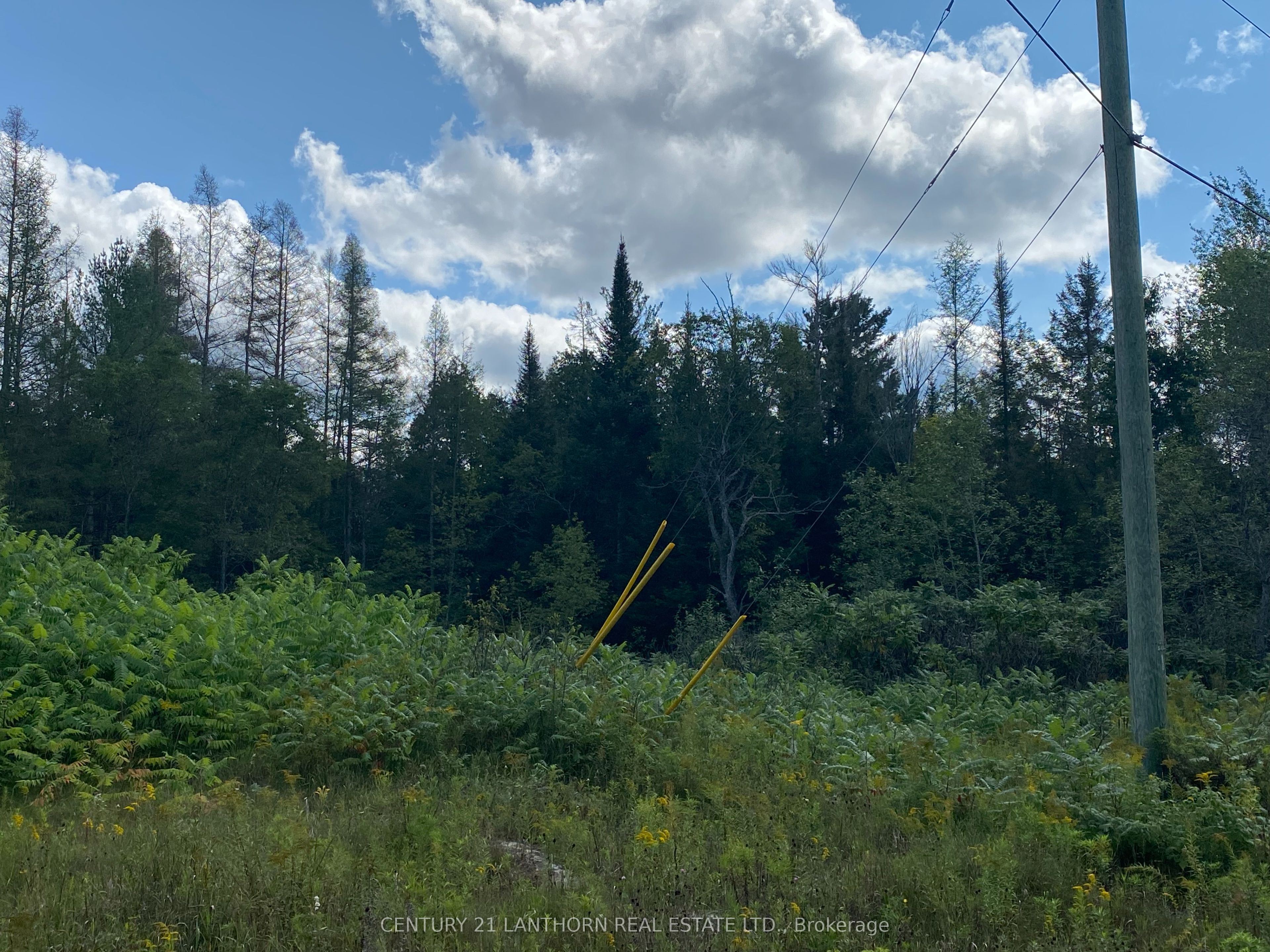 0 Stoney Settlement Road Property Photo 16
