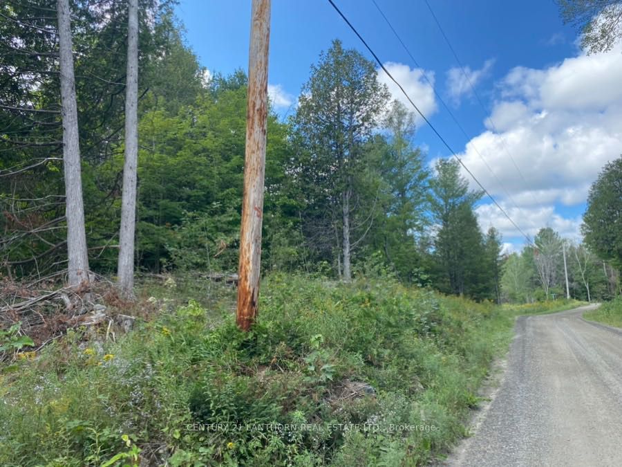0 Stoney Settlement Road Property Photo 20