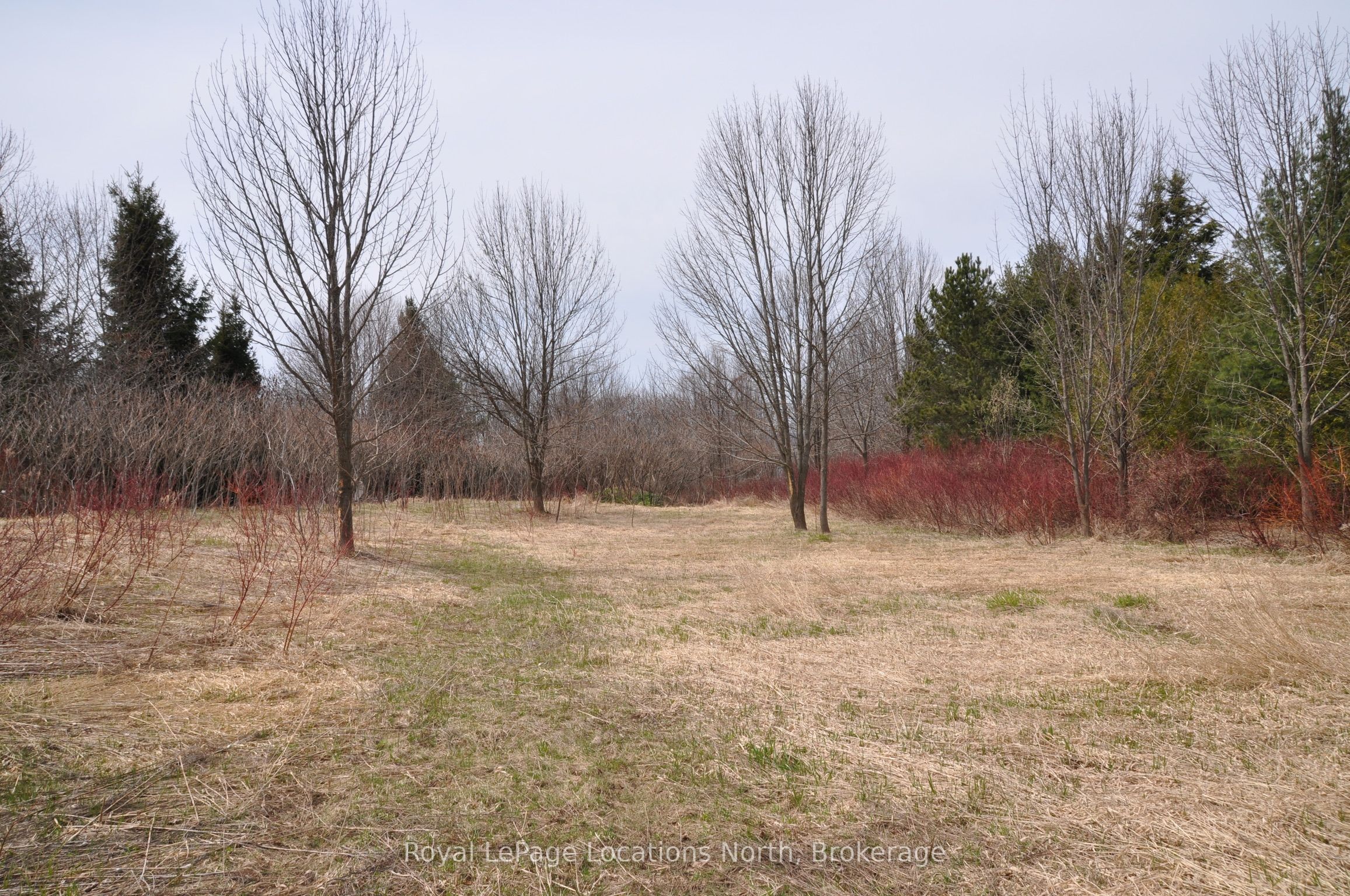Ptlt 19 Con Broken Front Bayshore Road Property Photo 6