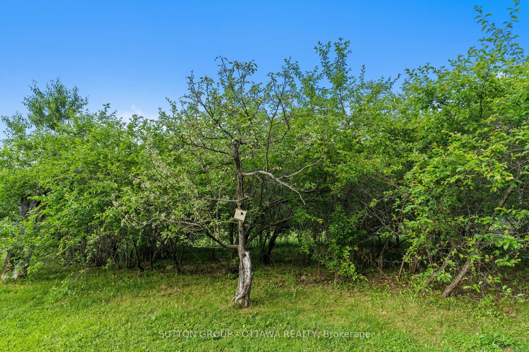 1448 Woito Station Rd Property Photo 47