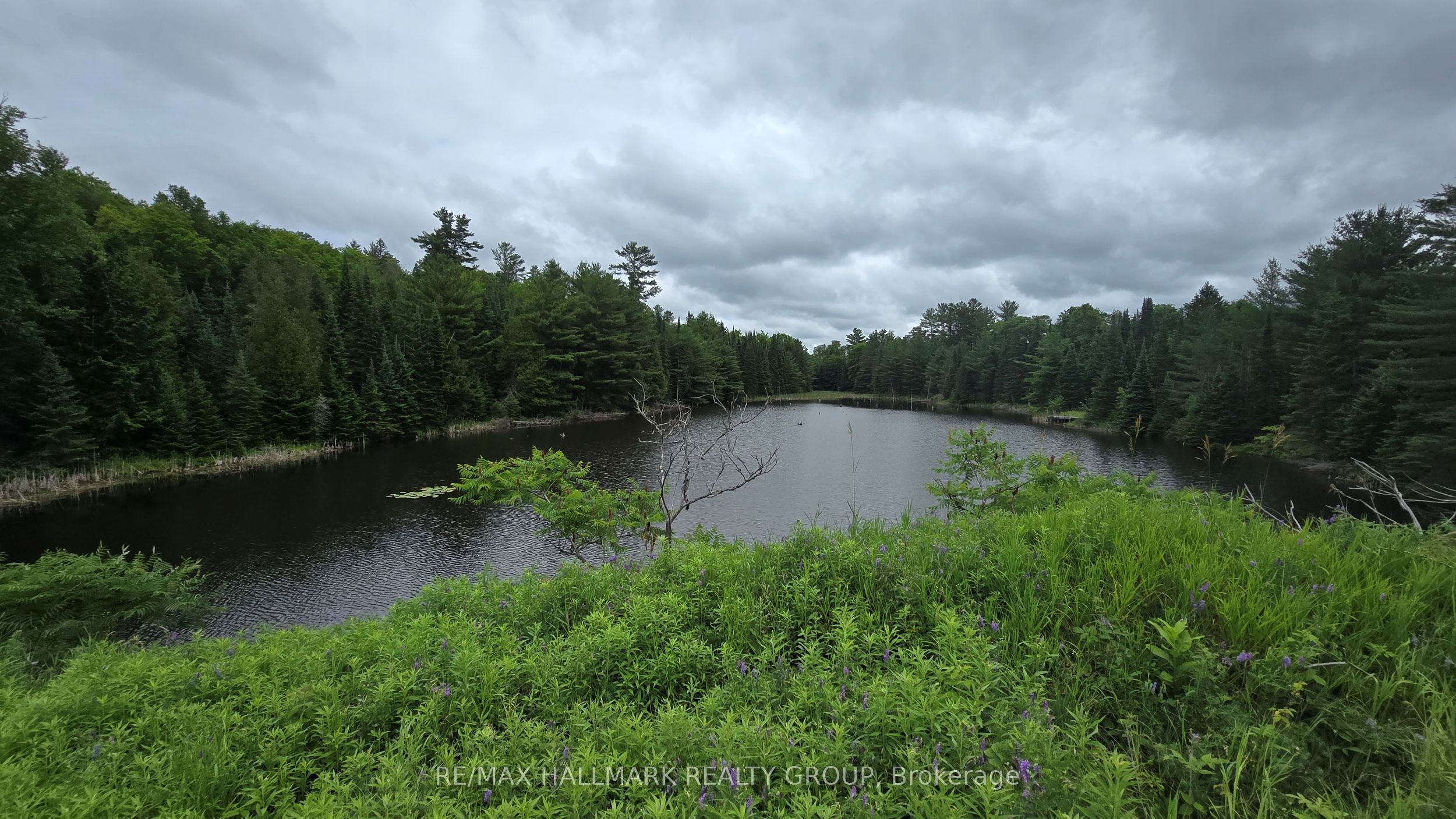 0000 Calabogie Road
