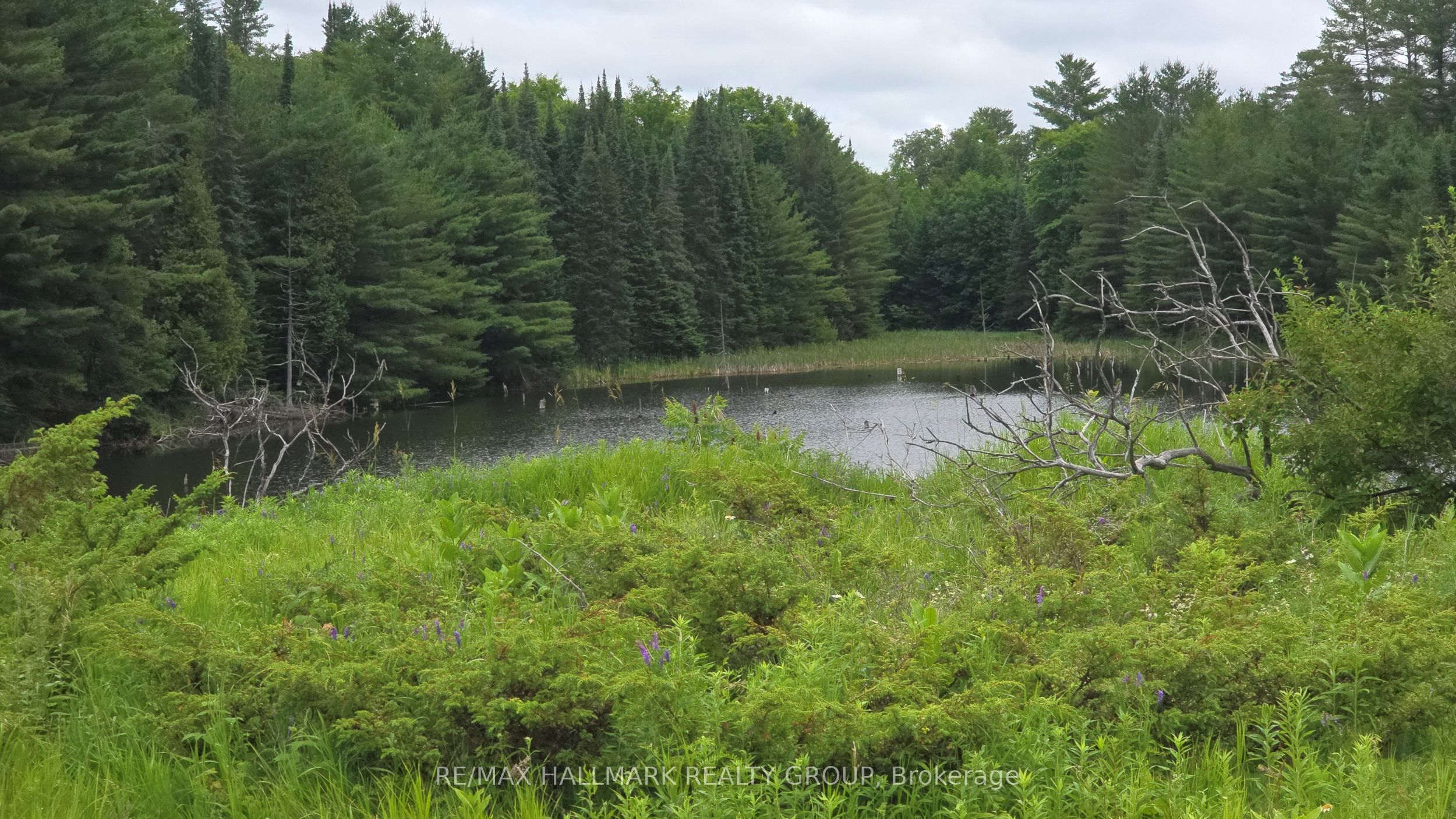 0000 Calabogie Road Property Photo 2