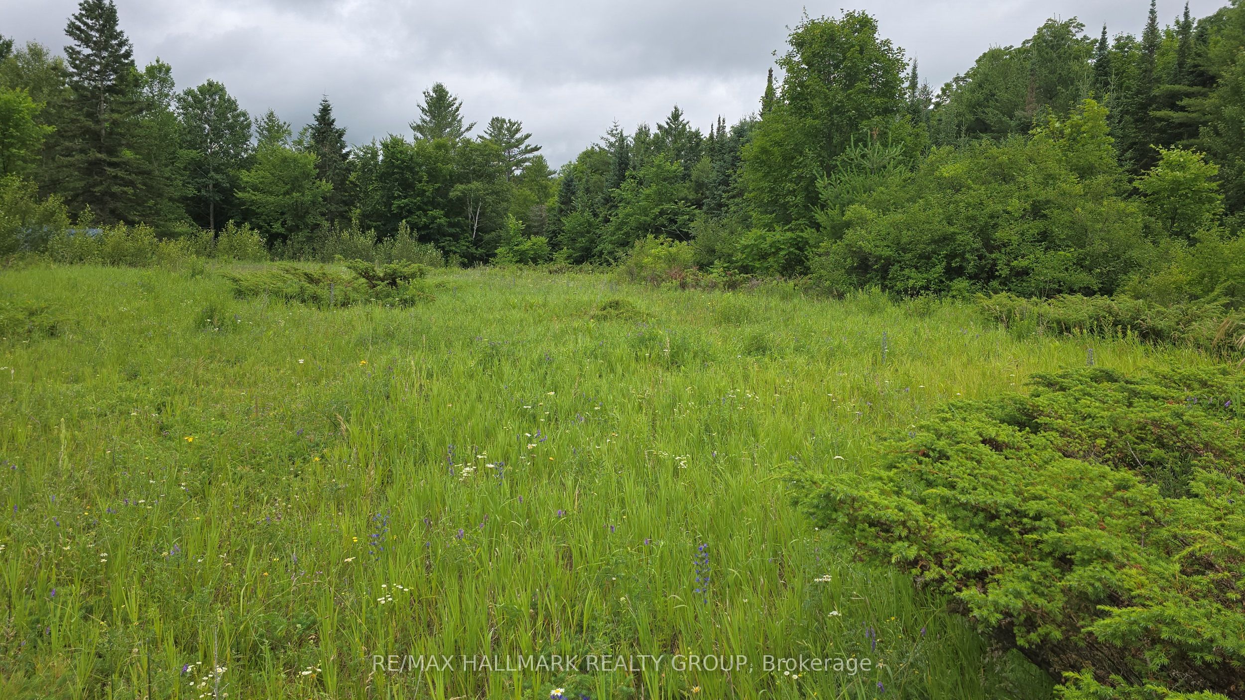 0000 Calabogie Road Property Photo 3