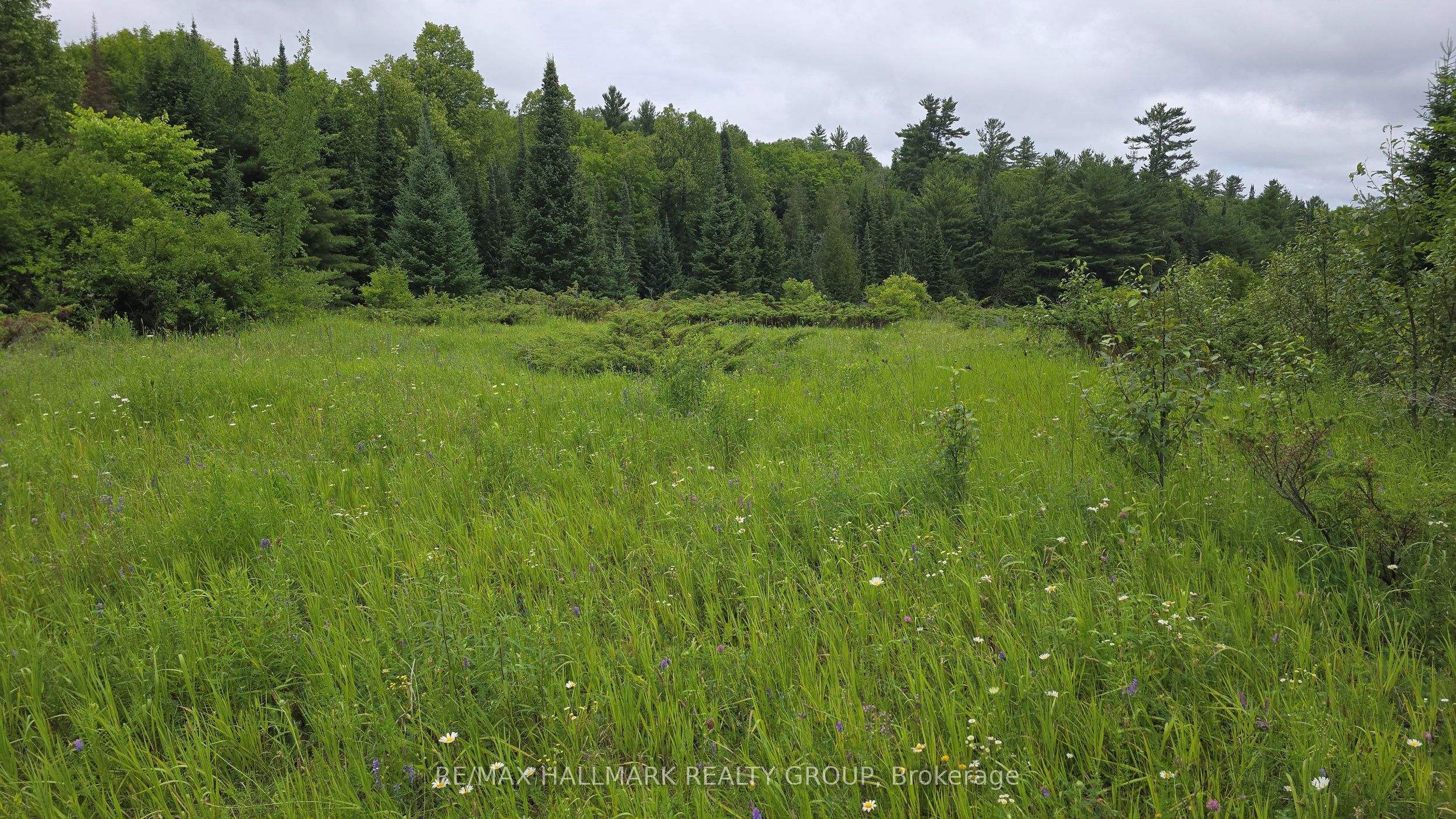 0000 Calabogie Road Property Photo 4