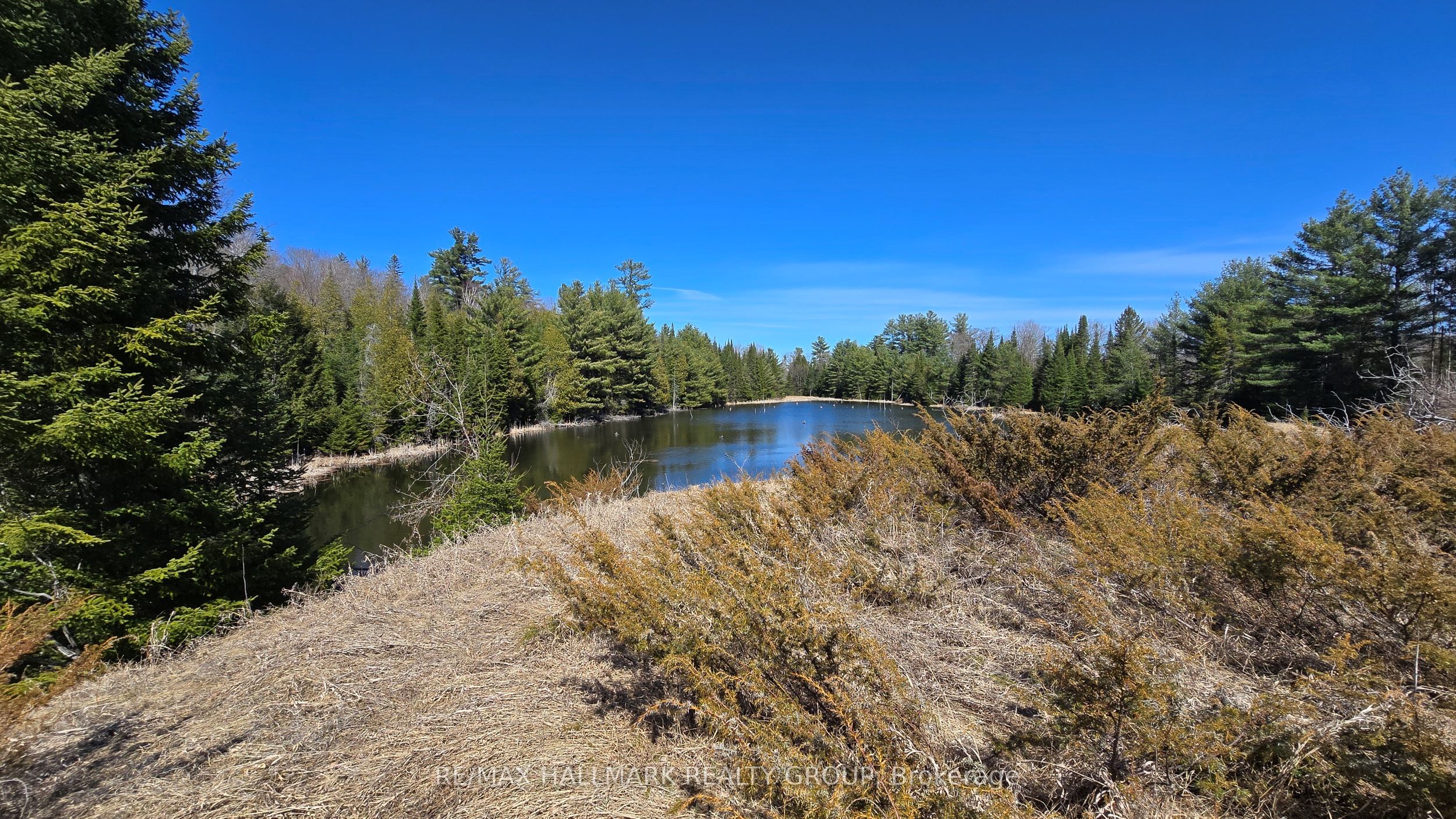 0000 Calabogie Road Property Photo 6