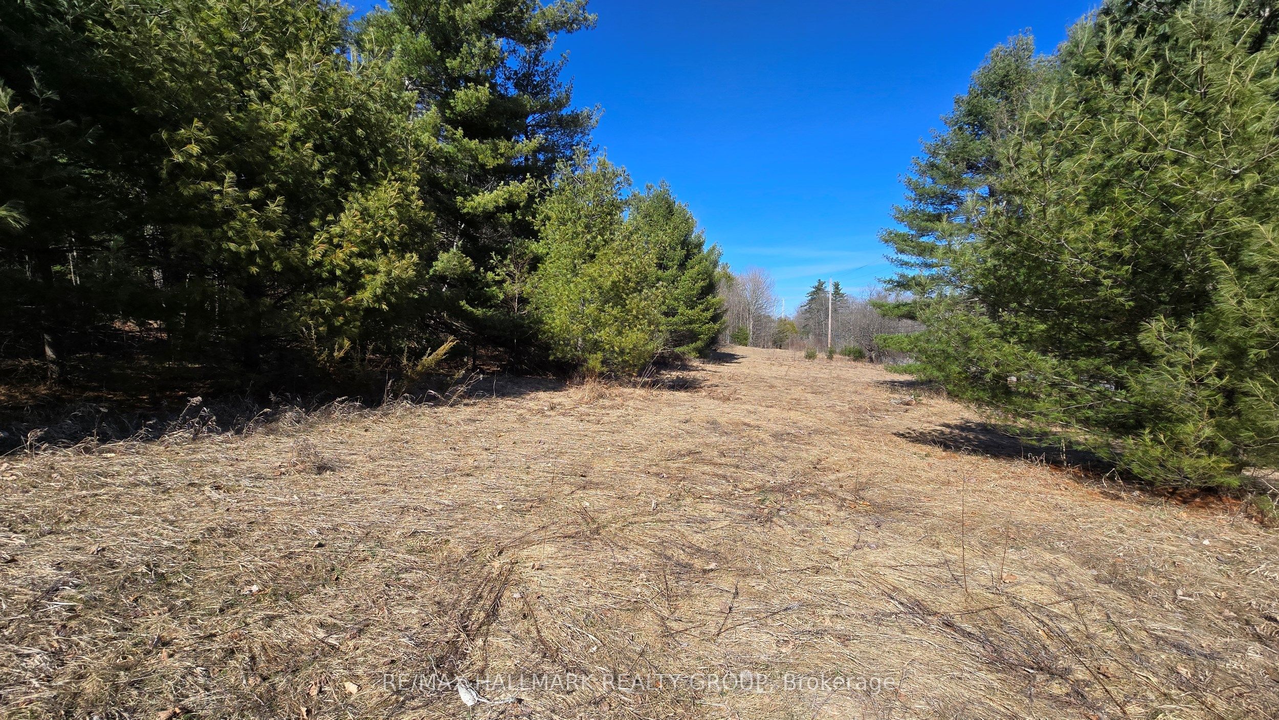 0000 Calabogie Road Property Photo 7