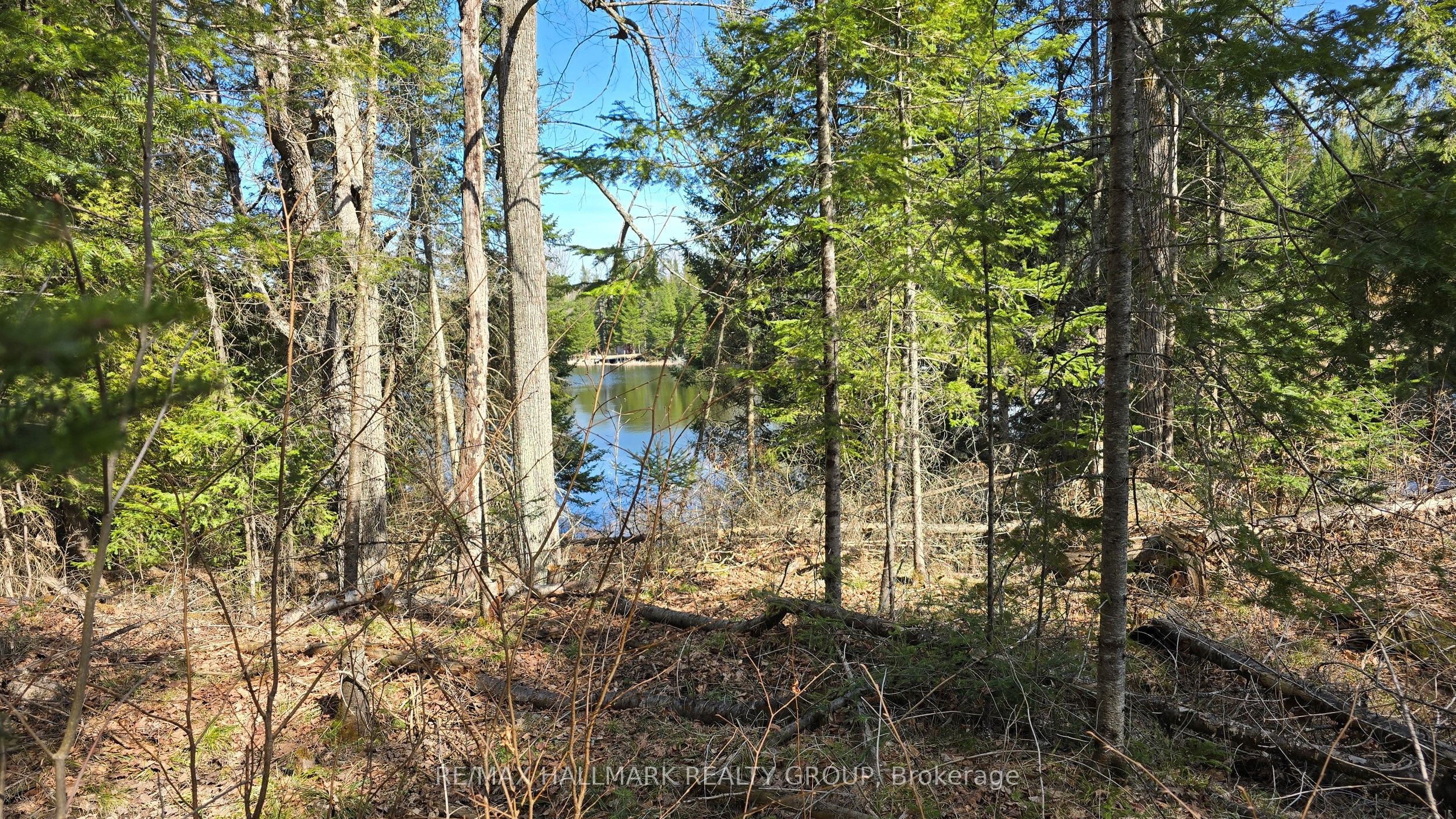 0000 Calabogie Road Property Photo 8