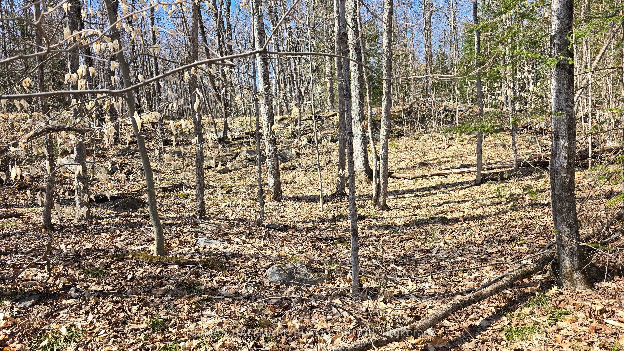 0000 Calabogie Road Property Photo 9