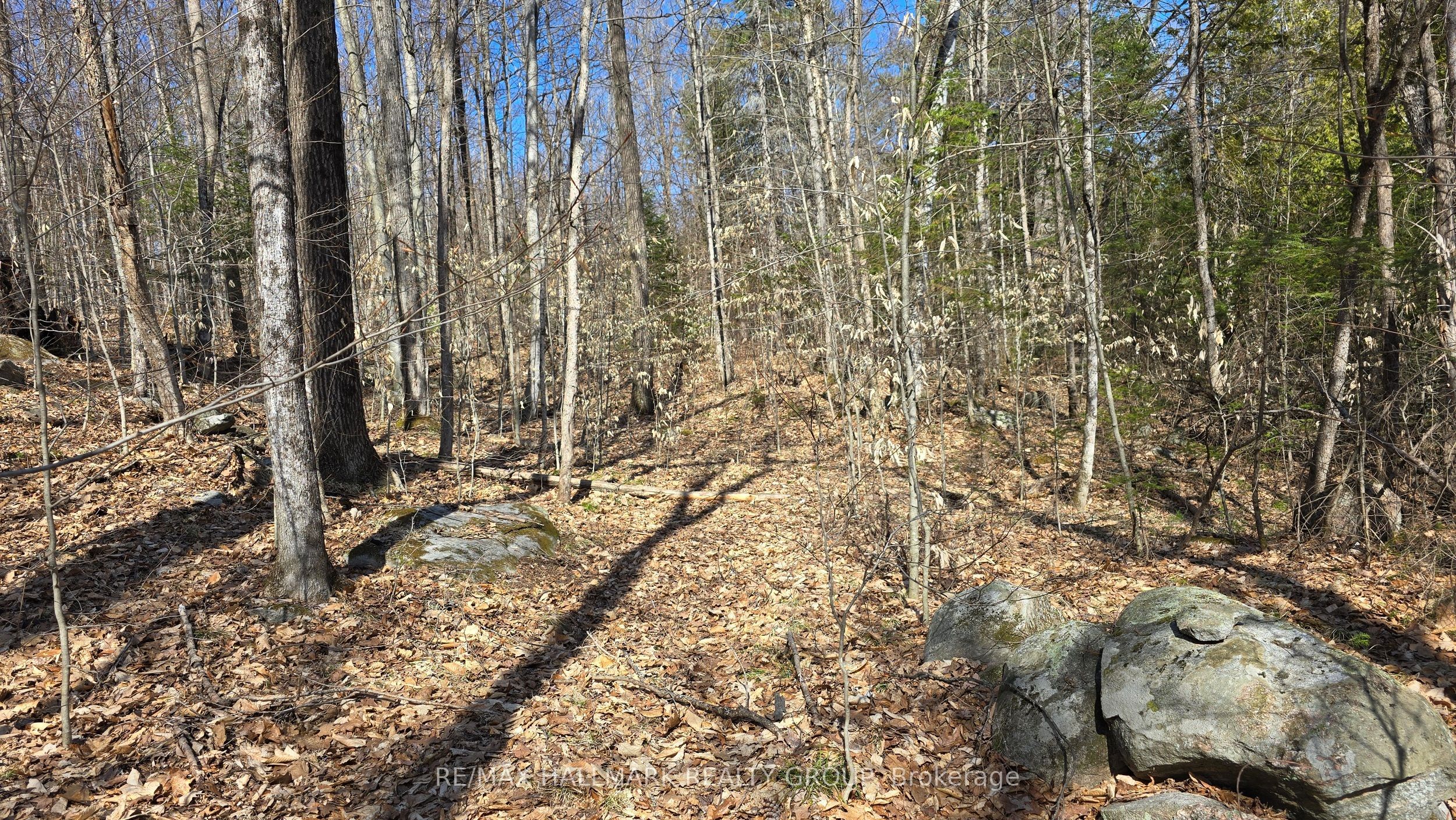 0000 Calabogie Road Property Photo 10