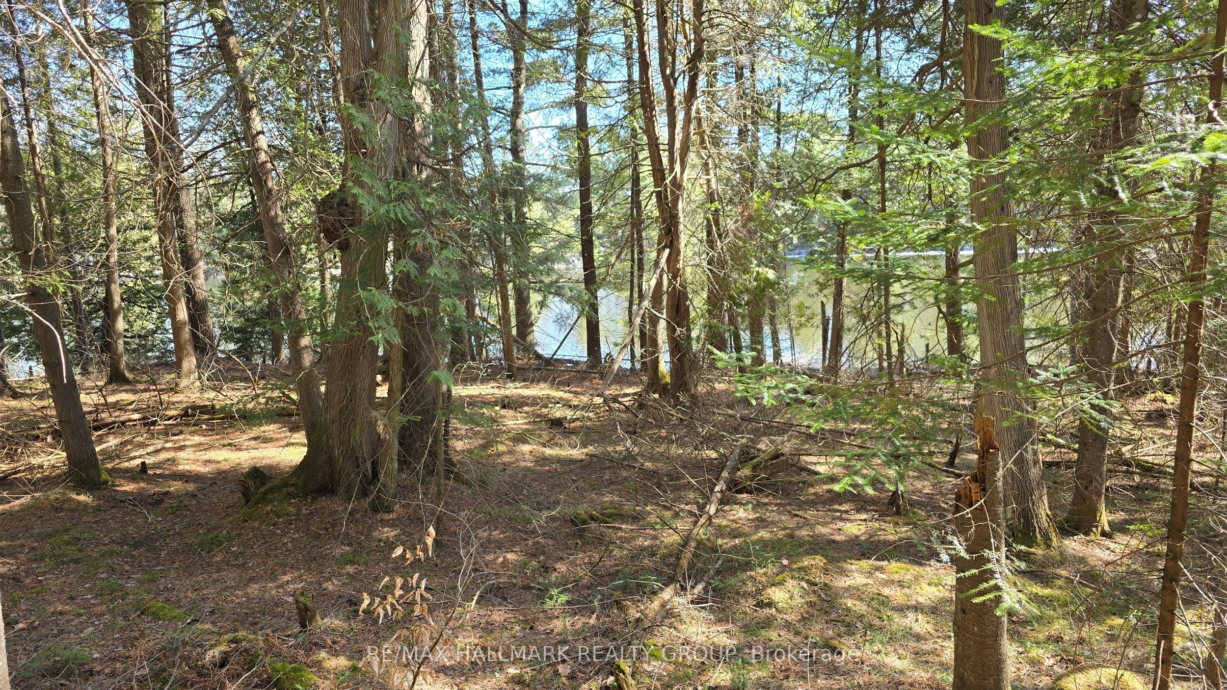 0000 Calabogie Road Property Photo 11
