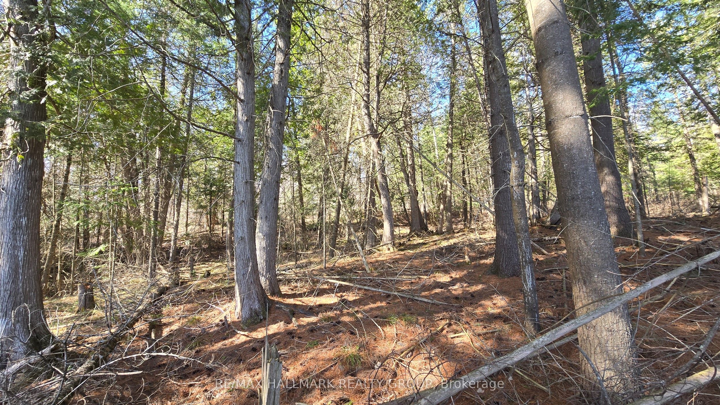 0000 Calabogie Road Property Photo 12