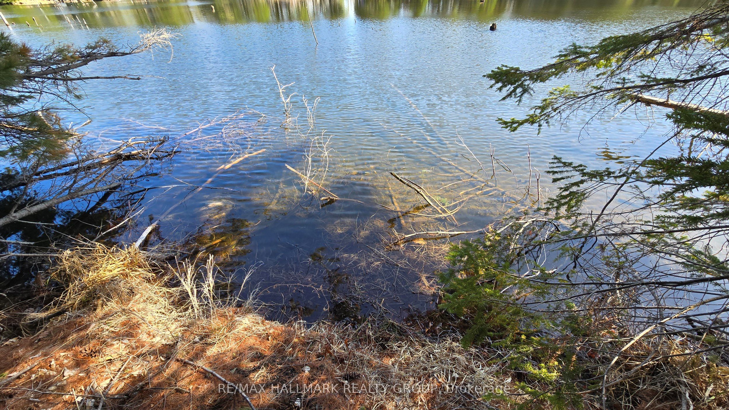 0000 Calabogie Road Property Photo 13