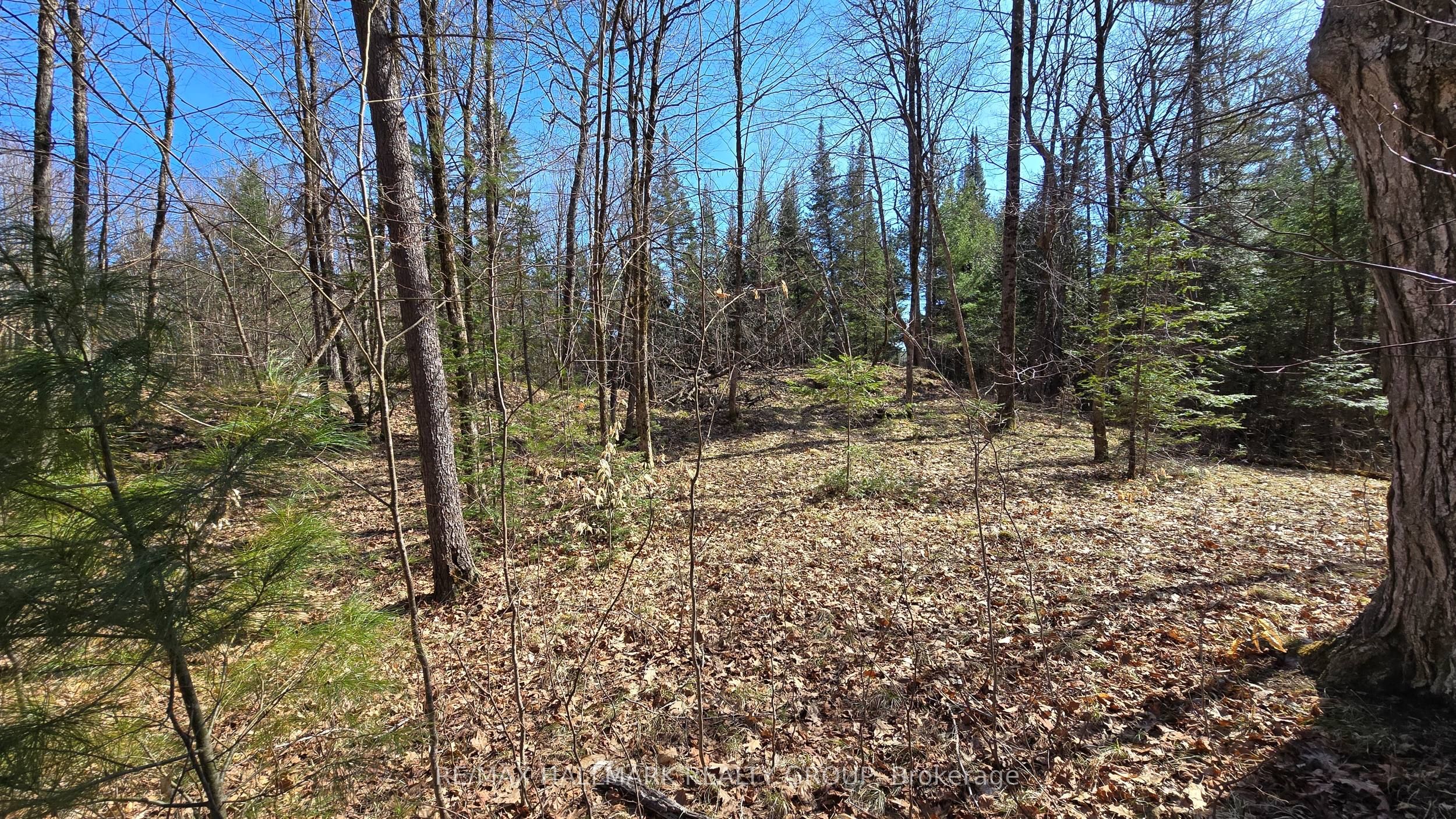 0000 Calabogie Road Property Photo 14