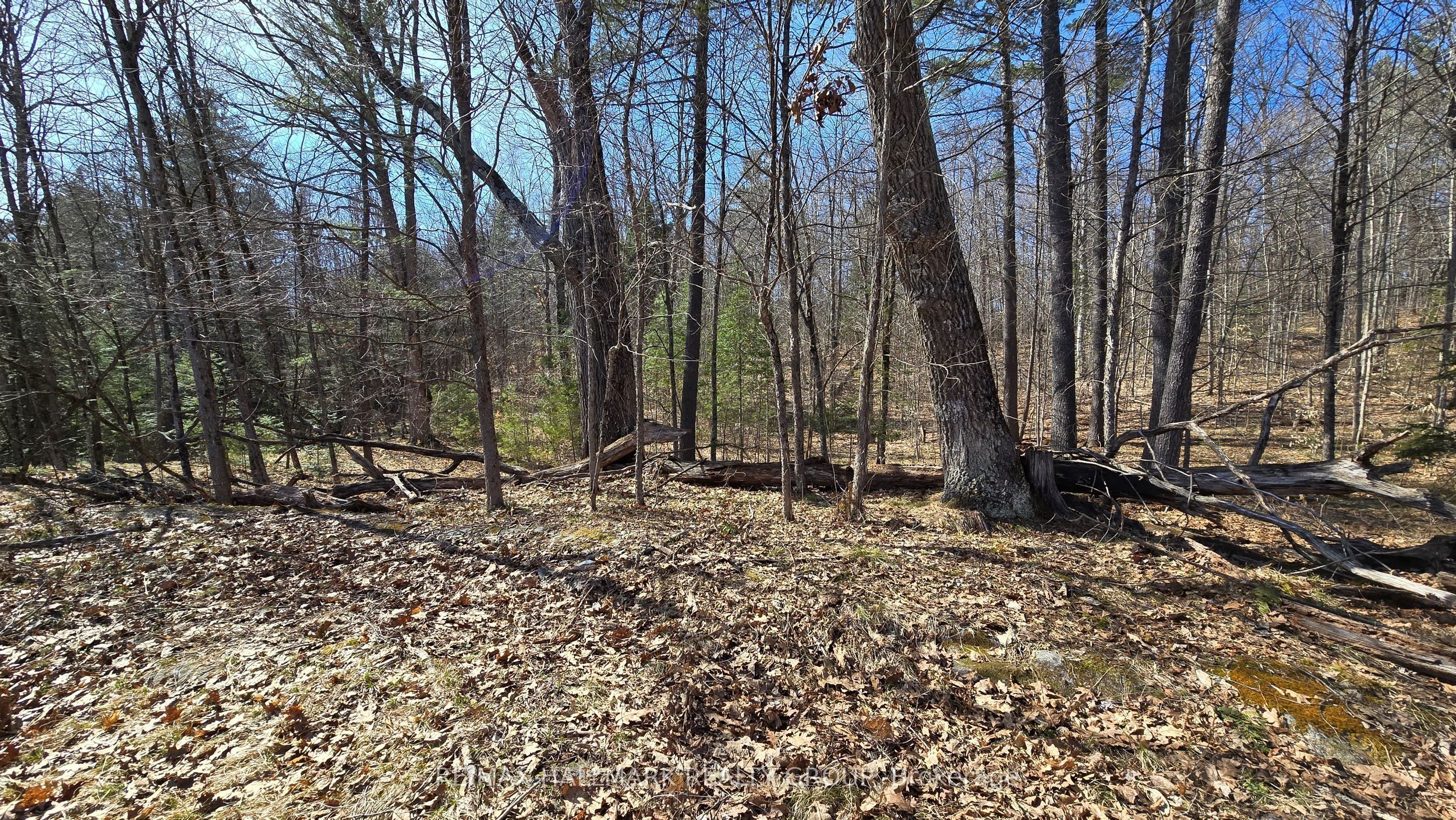0000 Calabogie Road Property Photo 15