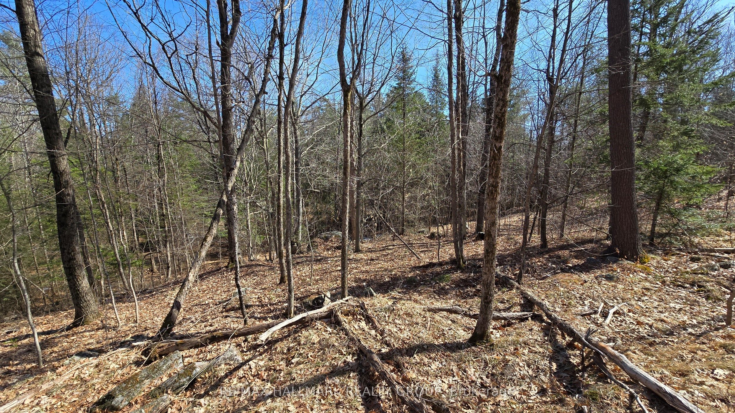0000 Calabogie Road Property Photo 16