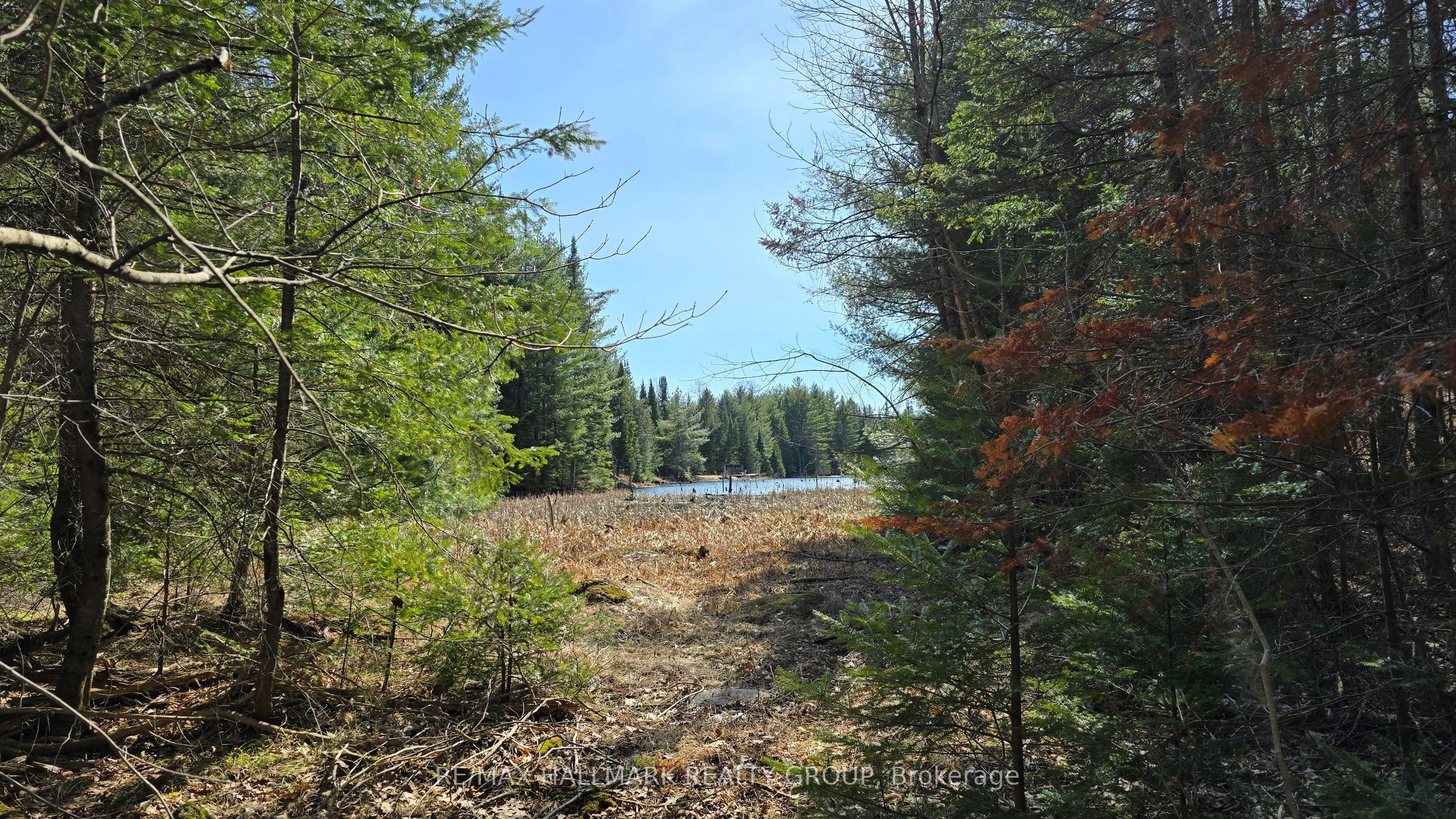 0000 Calabogie Road Property Photo 17