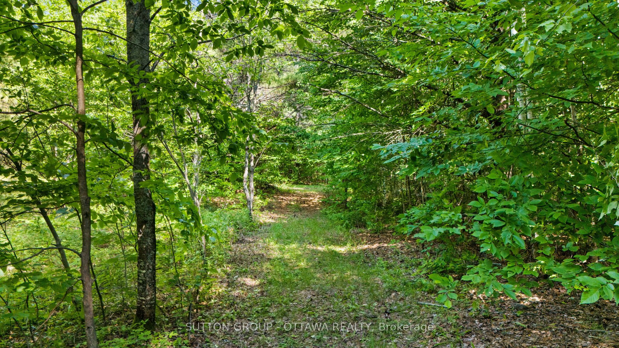 1448 Woito Station Road Property Photo 13