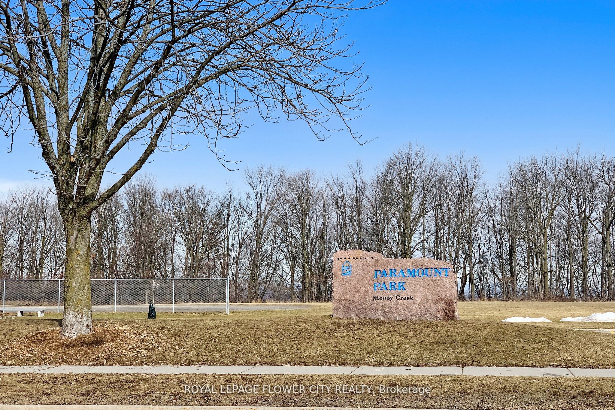 1155 Paramount Drive 43 Property Photo 33