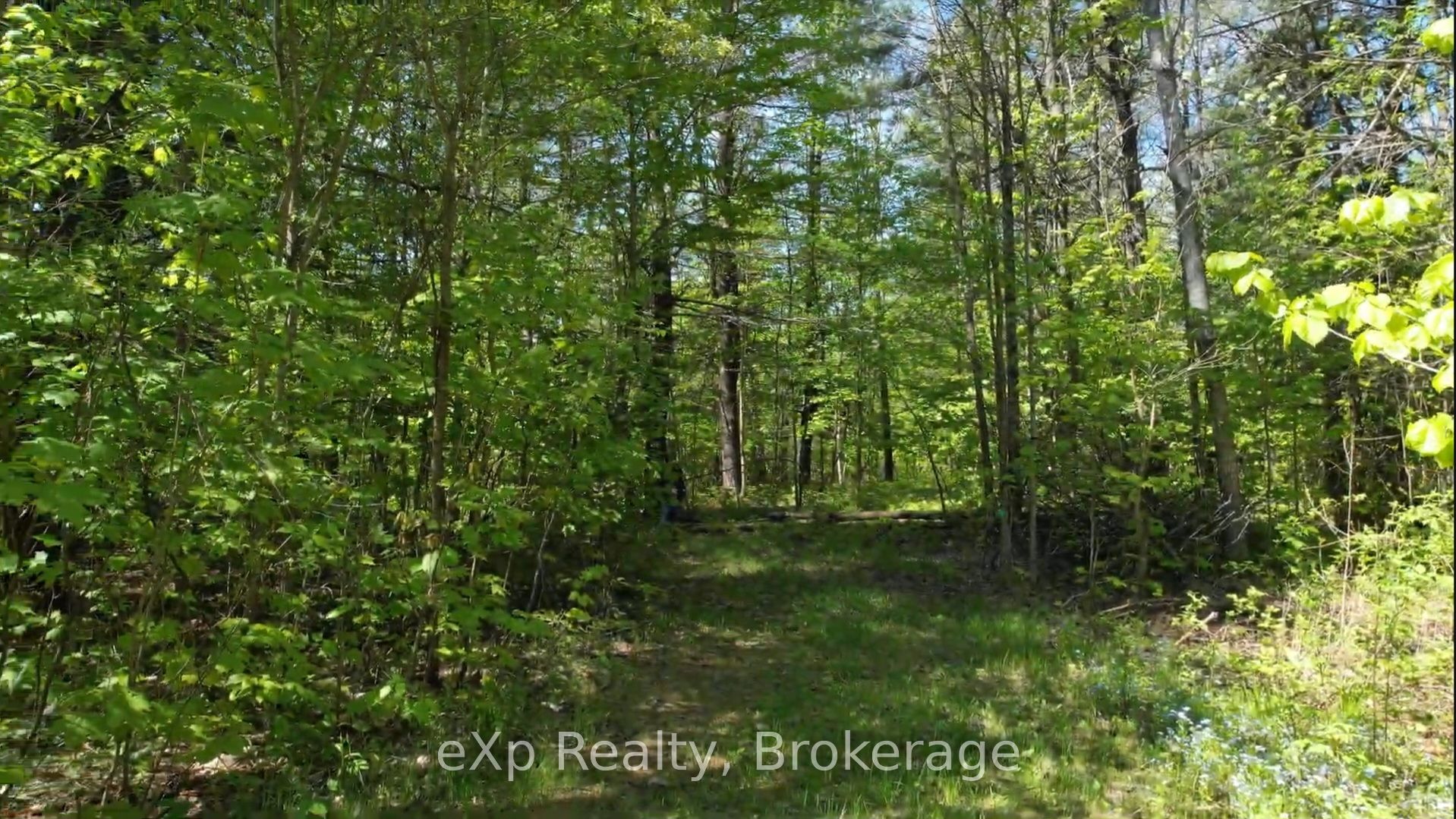 26 Magnet Road Property Photo 4