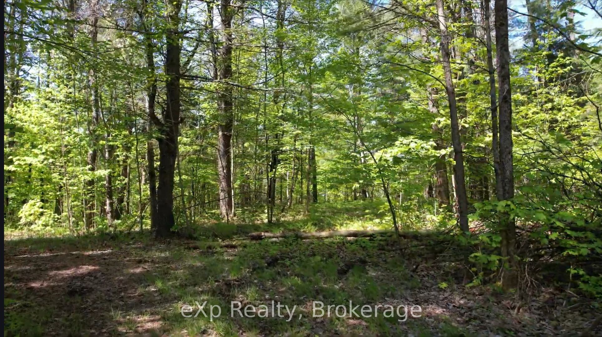 26 Magnet Road Property Photo 5