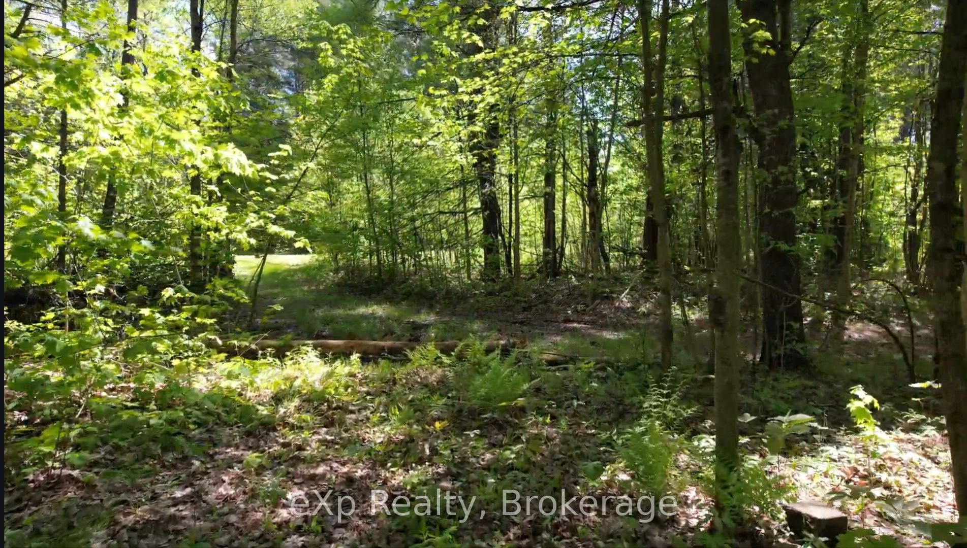 26 Magnet Road Property Photo 7