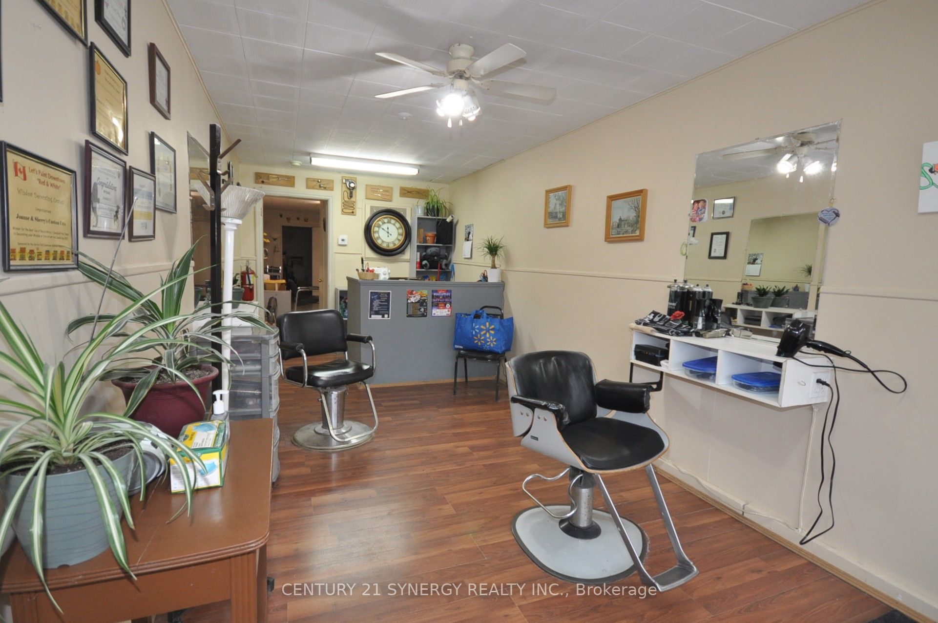 14 Beckwith Street Property Photo 7