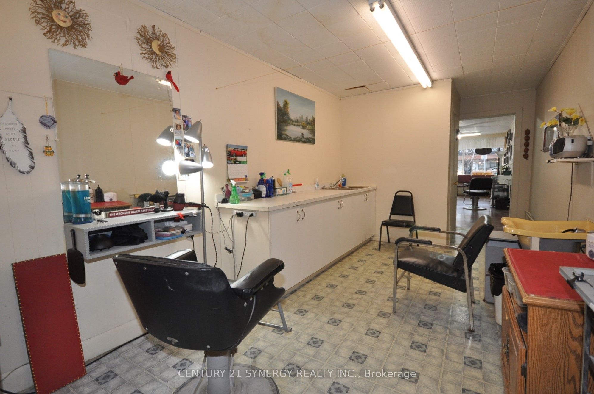 14 Beckwith Street Property Photo 9