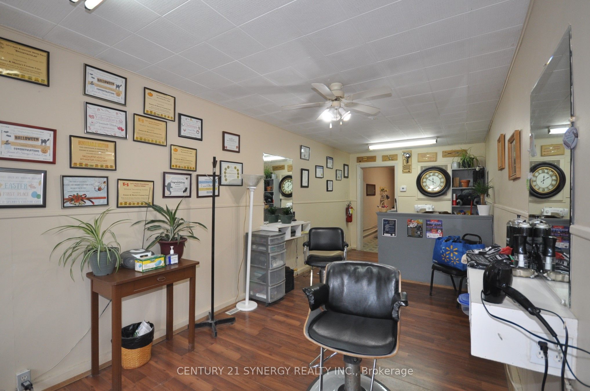 14 Beckwith Street Property Photo 12