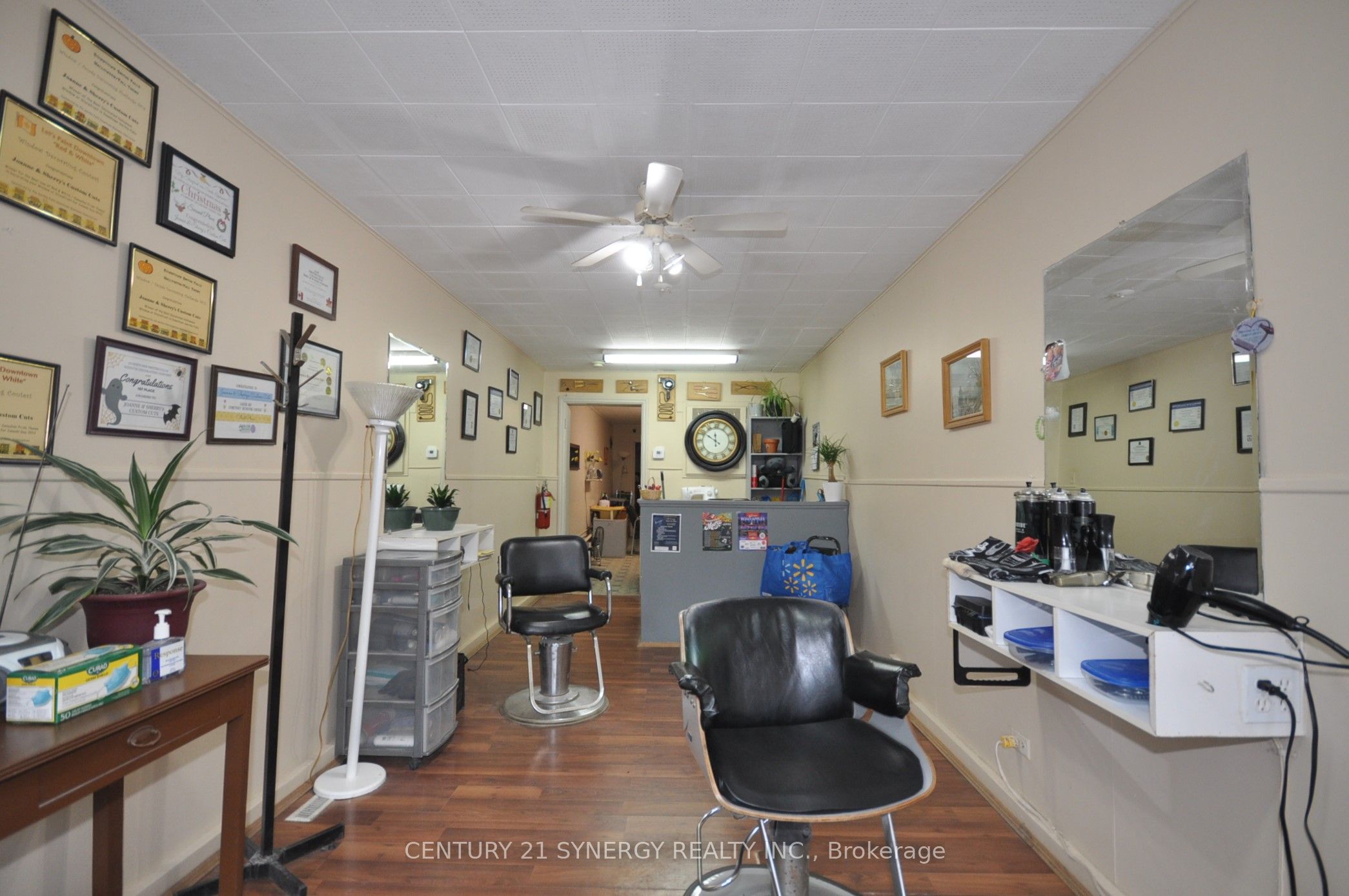 14 Beckwith Street Property Photo 13