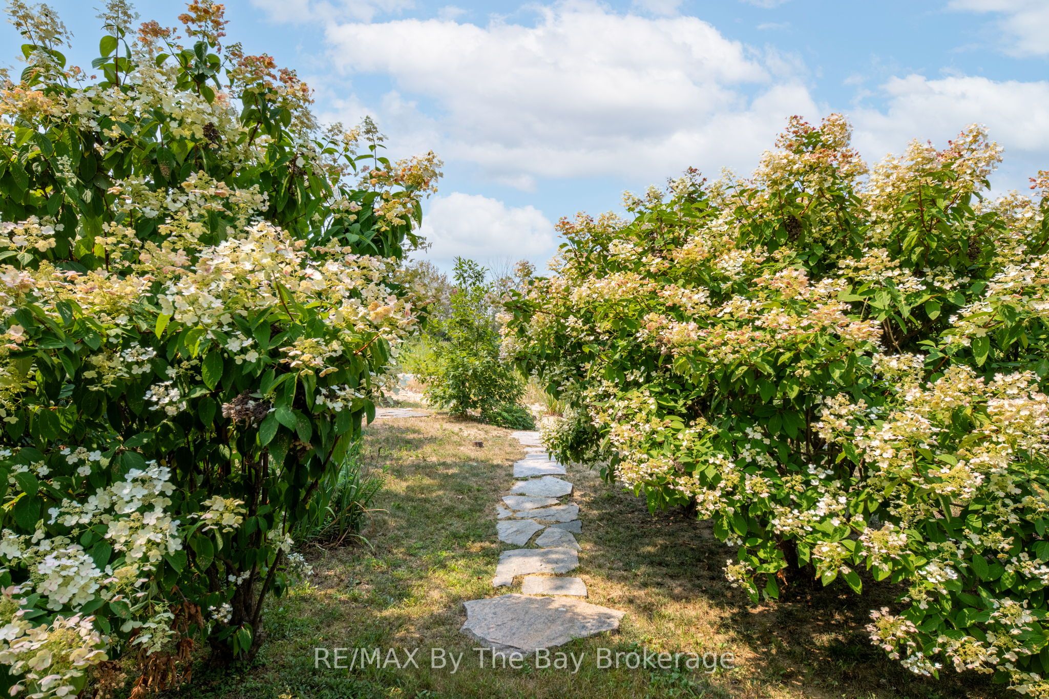 3854 Is 630 Georgian Bay Property Photo 27