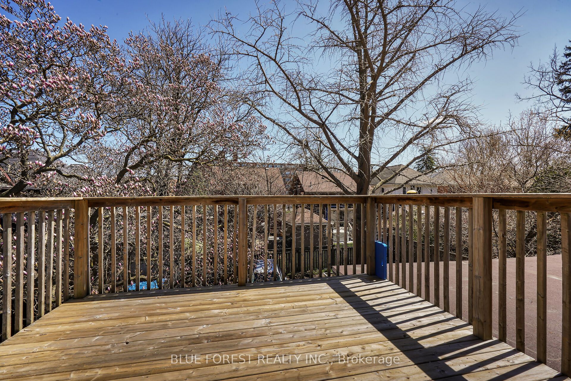 18 Belgrave Avenue Property Photo 15