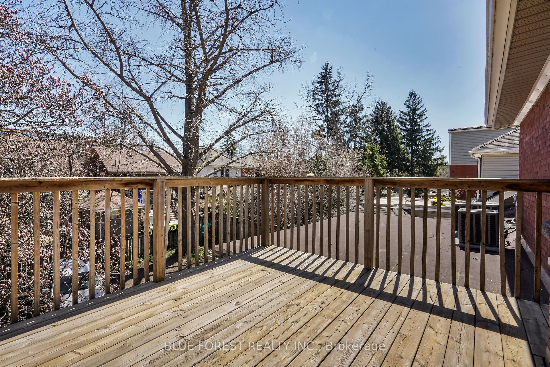 18 Belgrave Avenue Property Photo 16