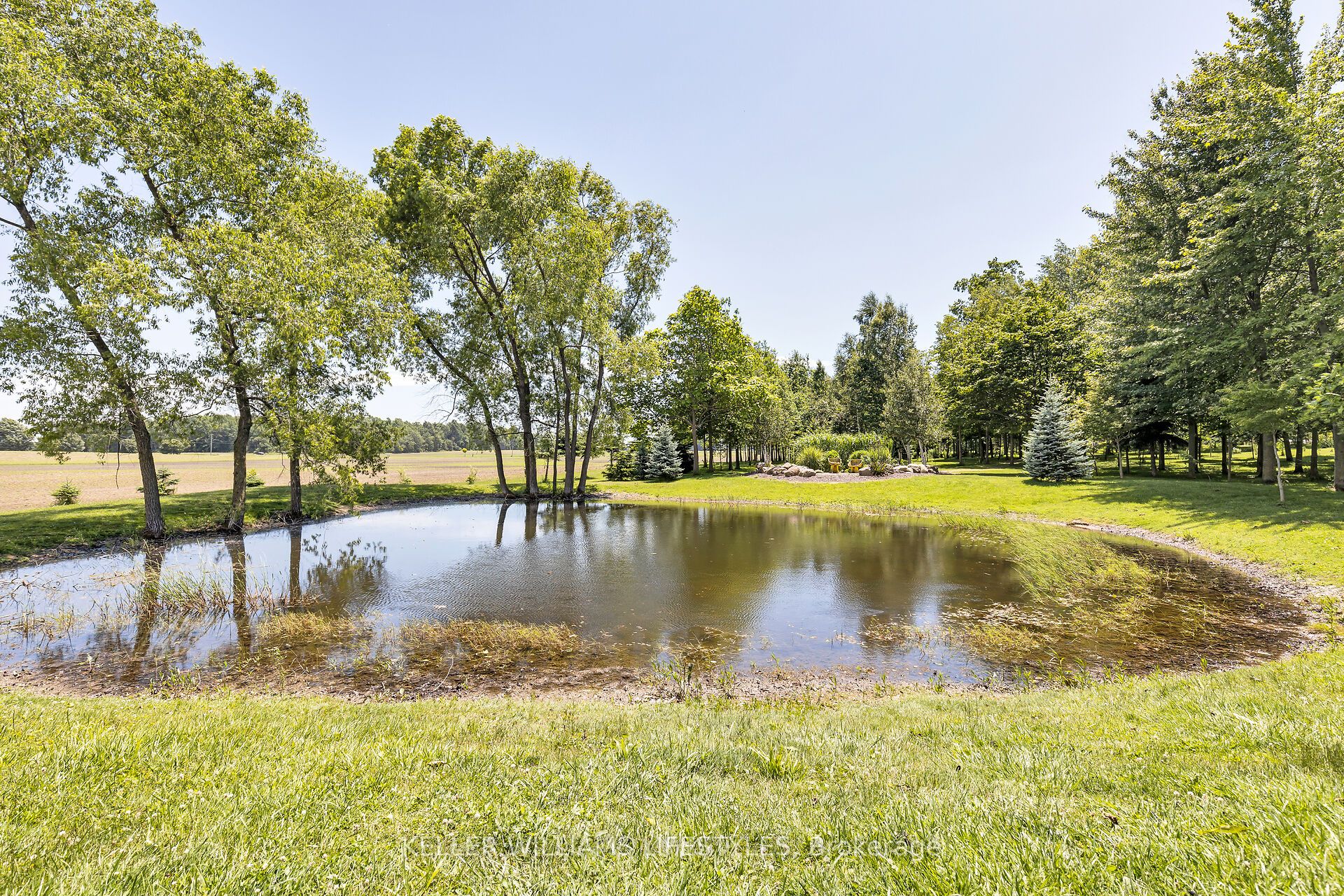32420 Silver Clay Line Property Photo 37
